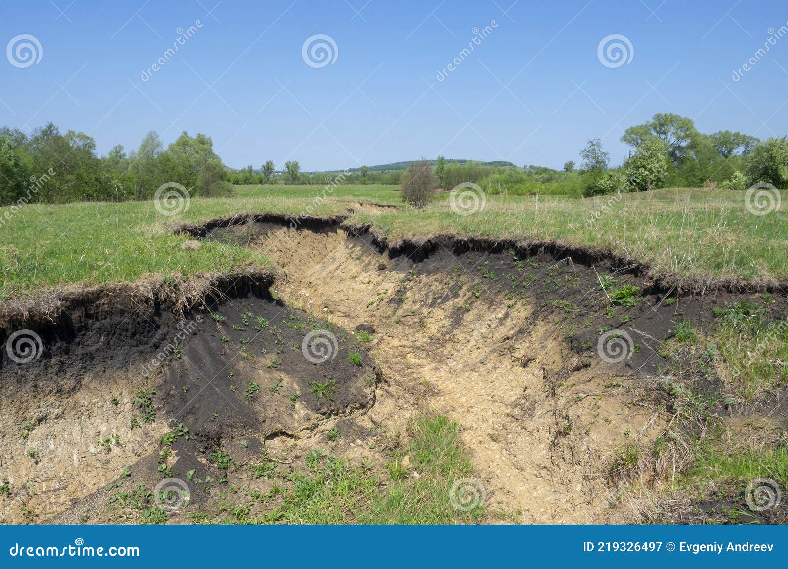 Deep Ravine with Clay Slopes. Soil Erosion Caused by Rainfall and Melt