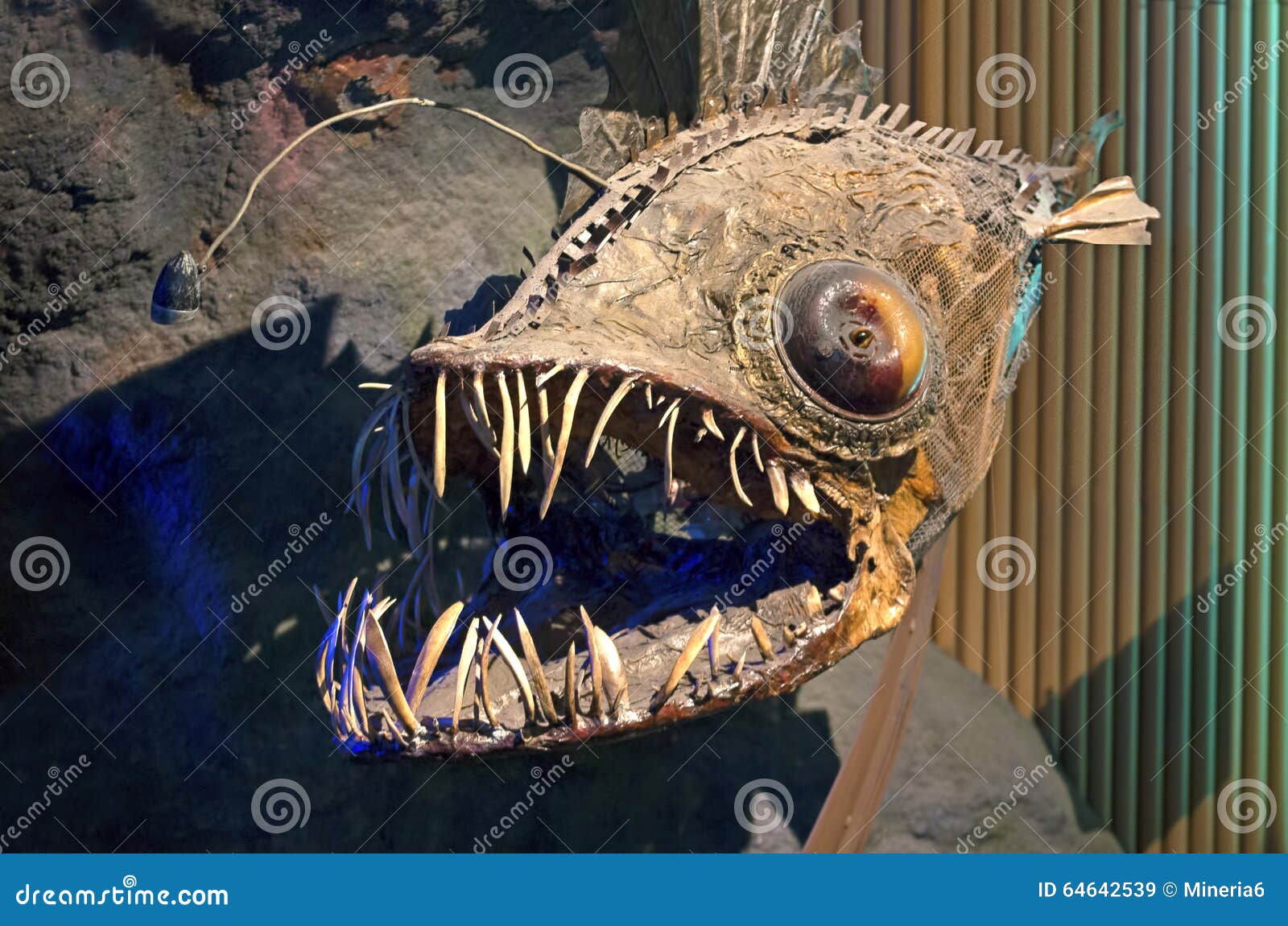 Deep Sea Anglerfish Stock Photos - Free & Royalty-Free Stock Photos from  Dreamstime