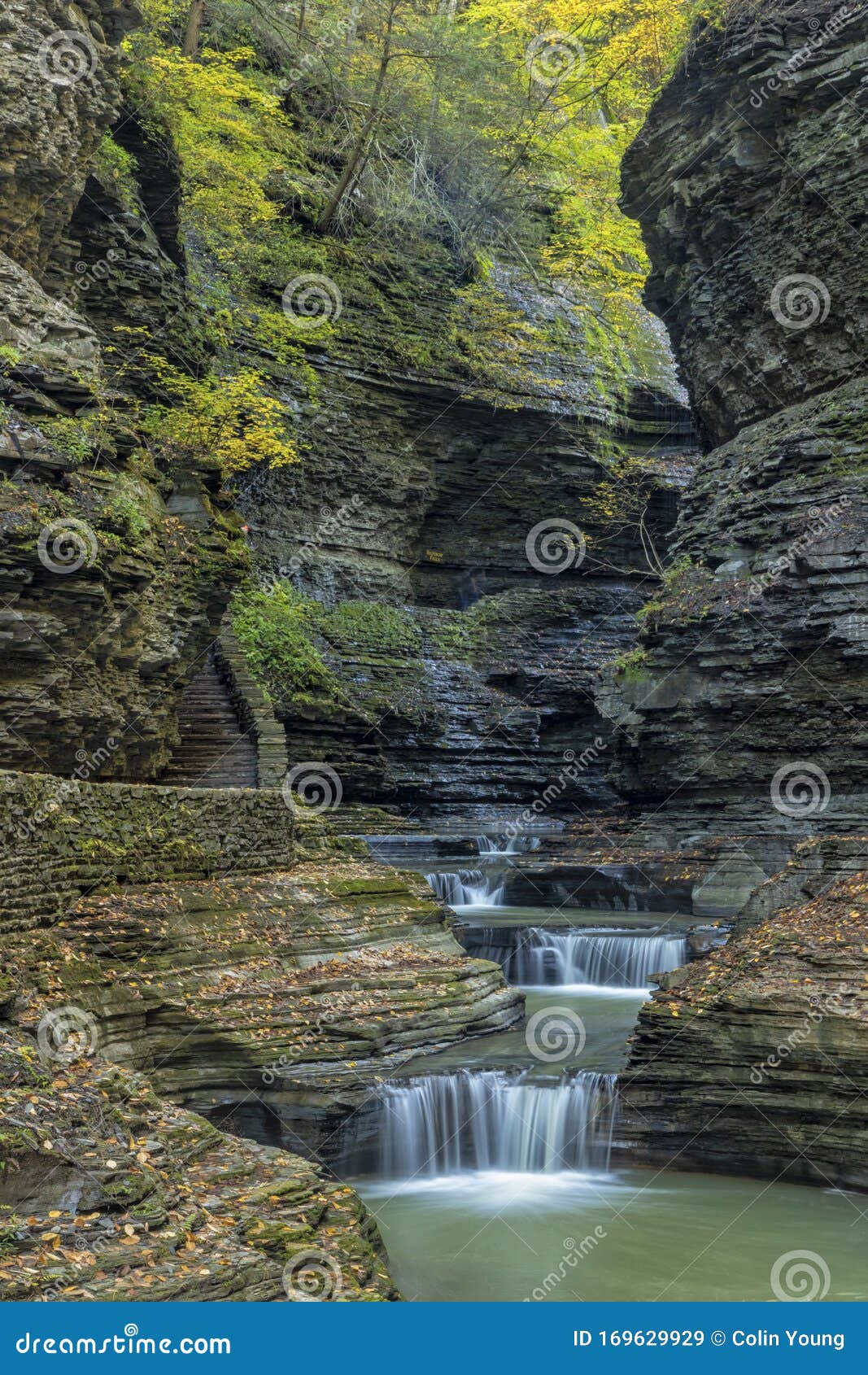 deep shale gorge in watkins glen