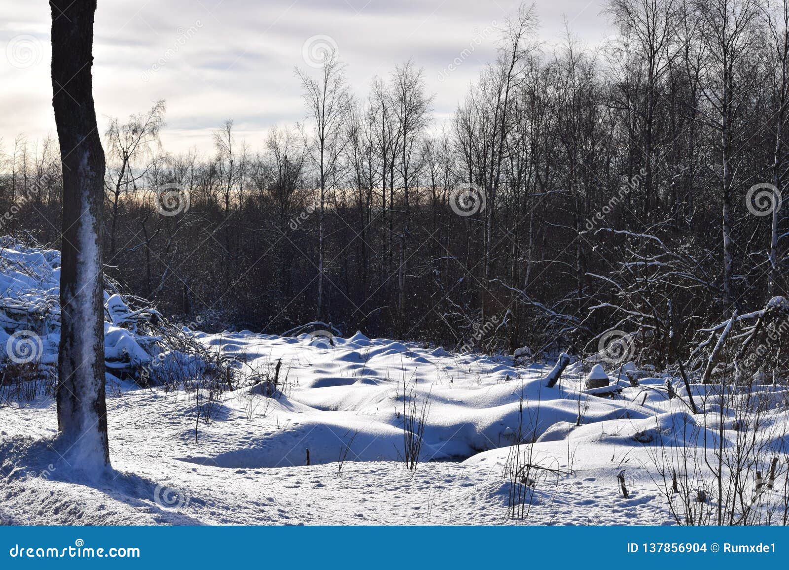 Deep Snow Location in the Winter Area Stock Photo Image of snowscapes