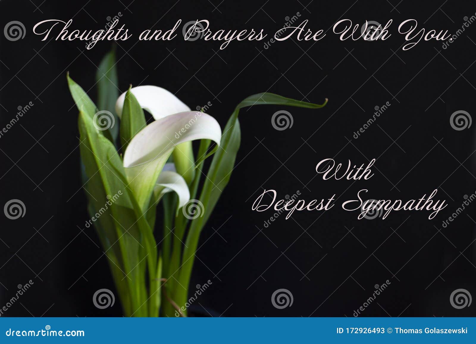 with deepest sympathy card with a white calla lily on a black background