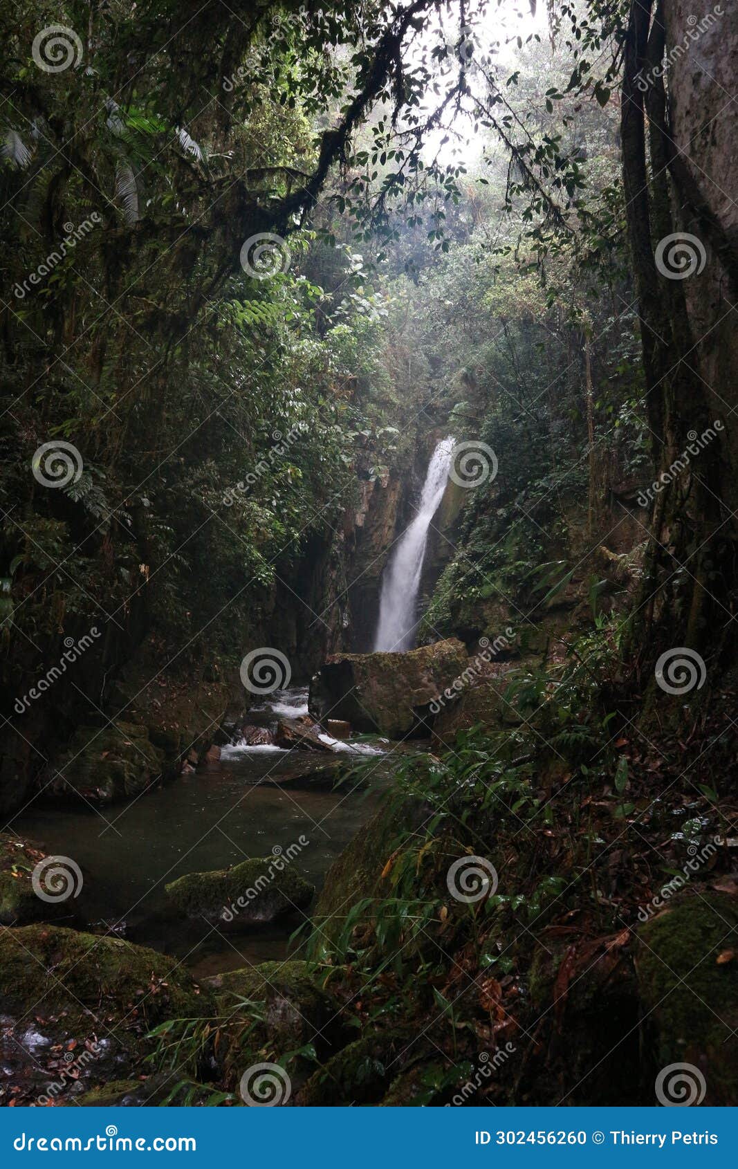 deeply hidden waterfall in tropical rainforest