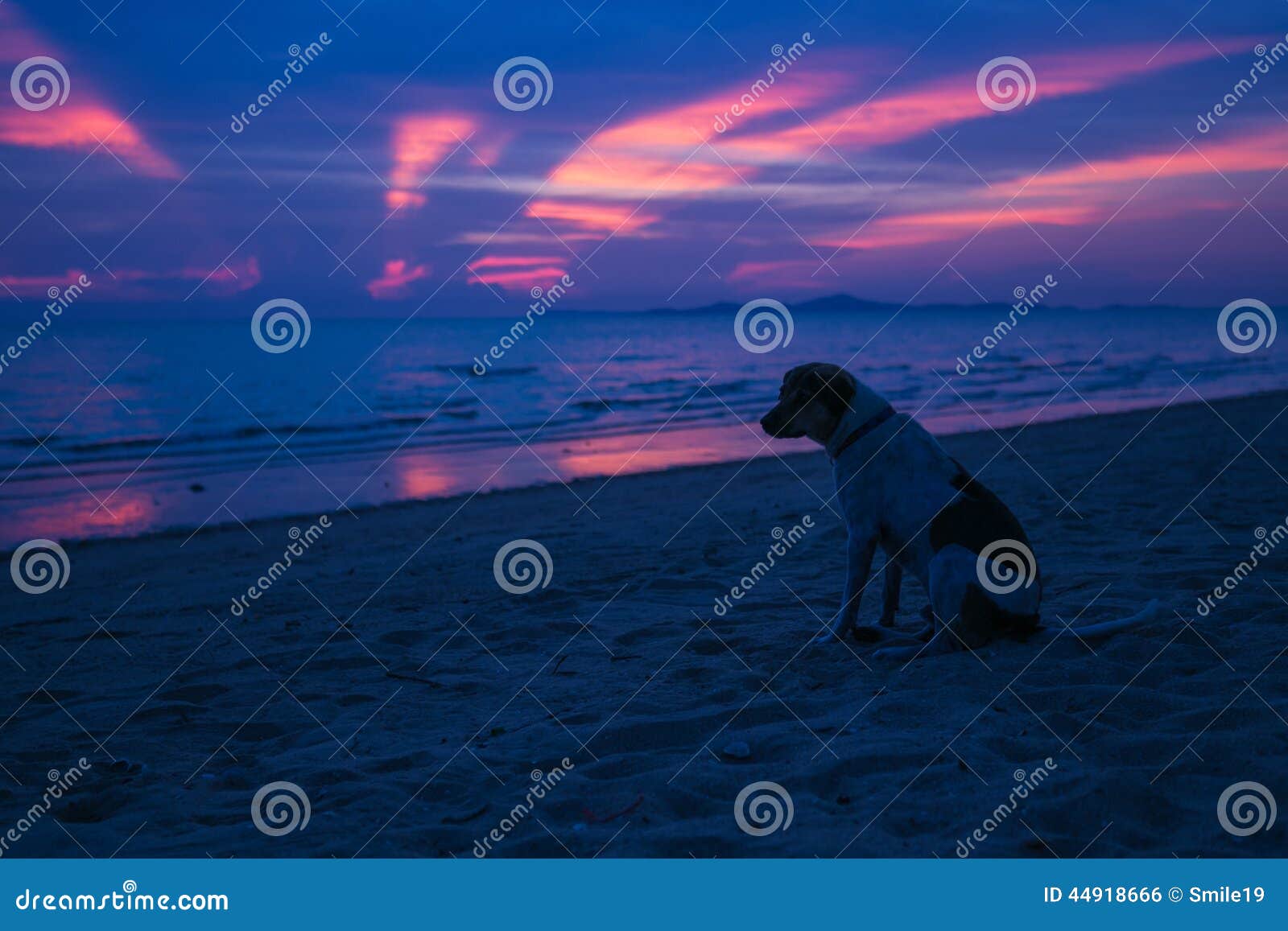 Amazing Deeply purple sunset. Sea and sky. .