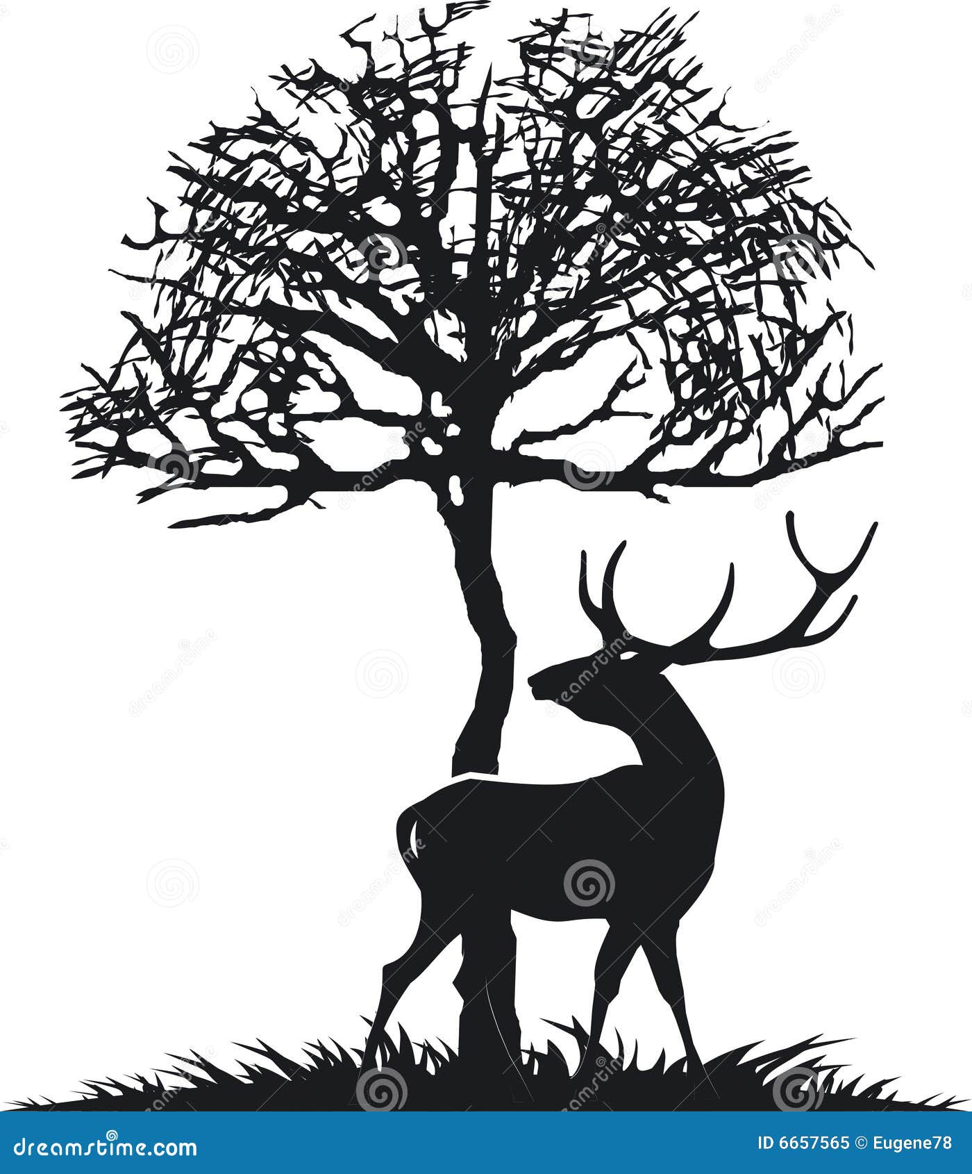 Deer stock vector. Illustration of nature, decor, contrast - 6657565