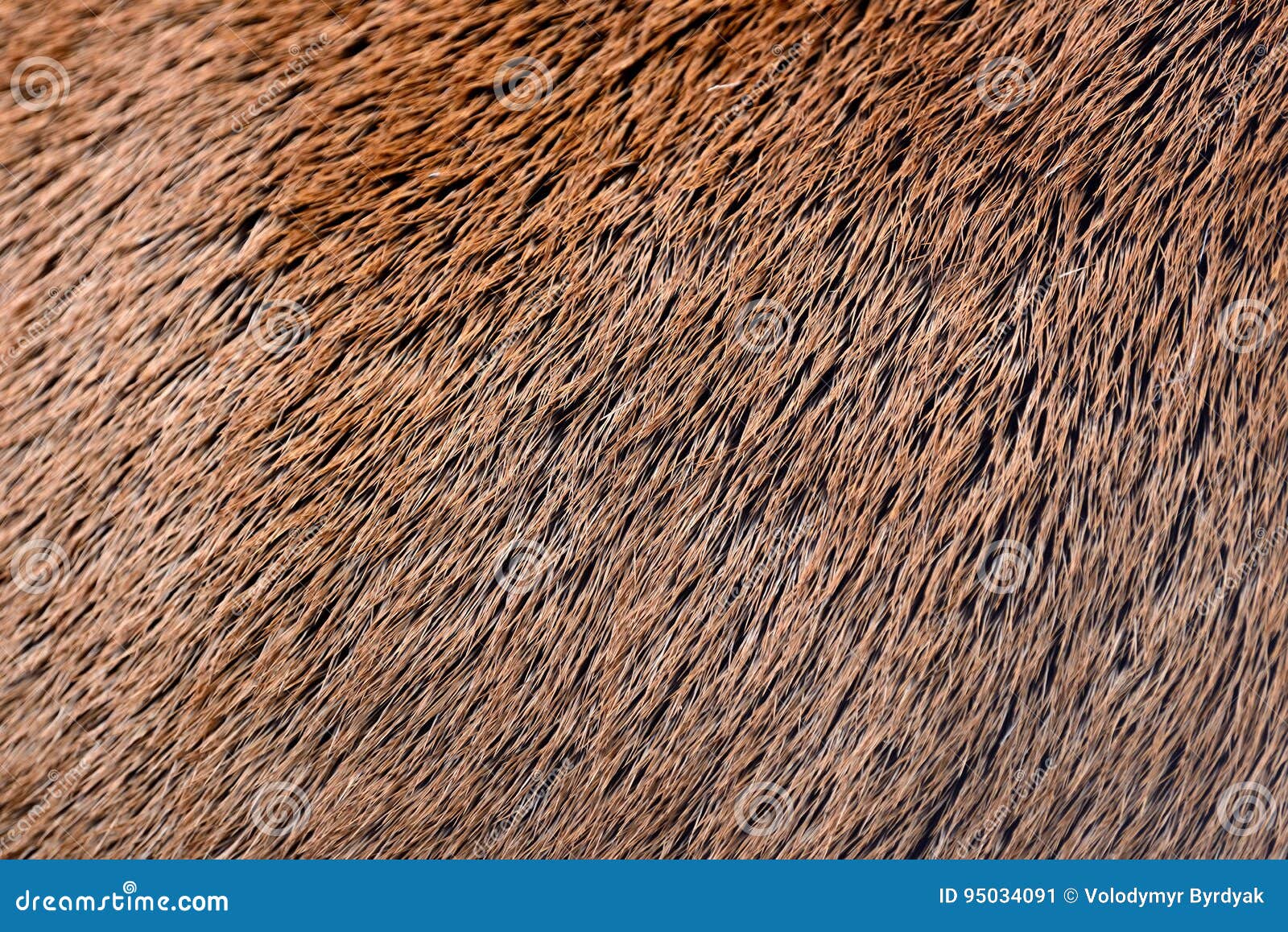 Deer Abstract Background Fur Stock Image Image of print, safari 95034091