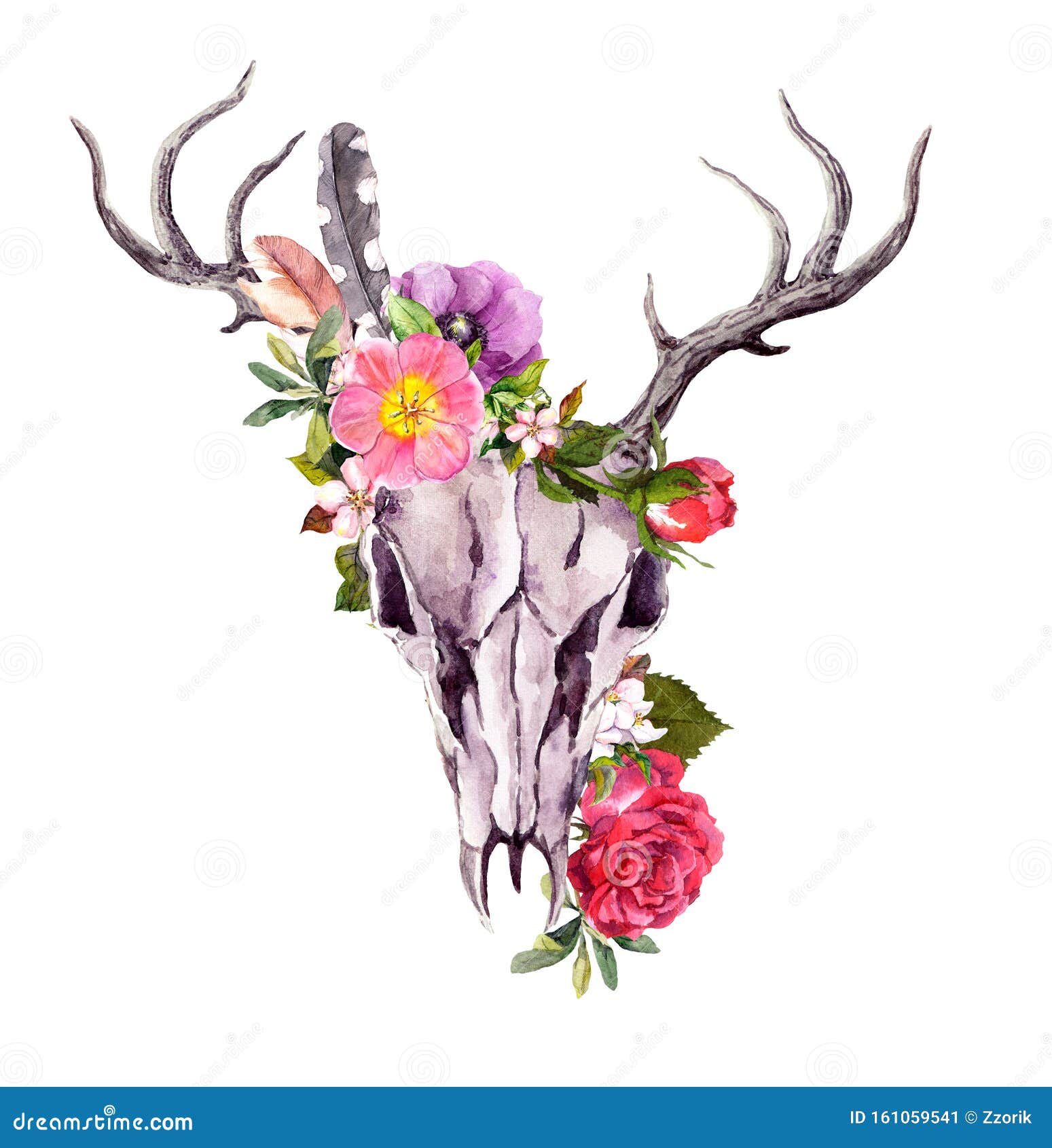 Deer Animal Skull with Flowers, Feathers. Watercolor Stock Illustration