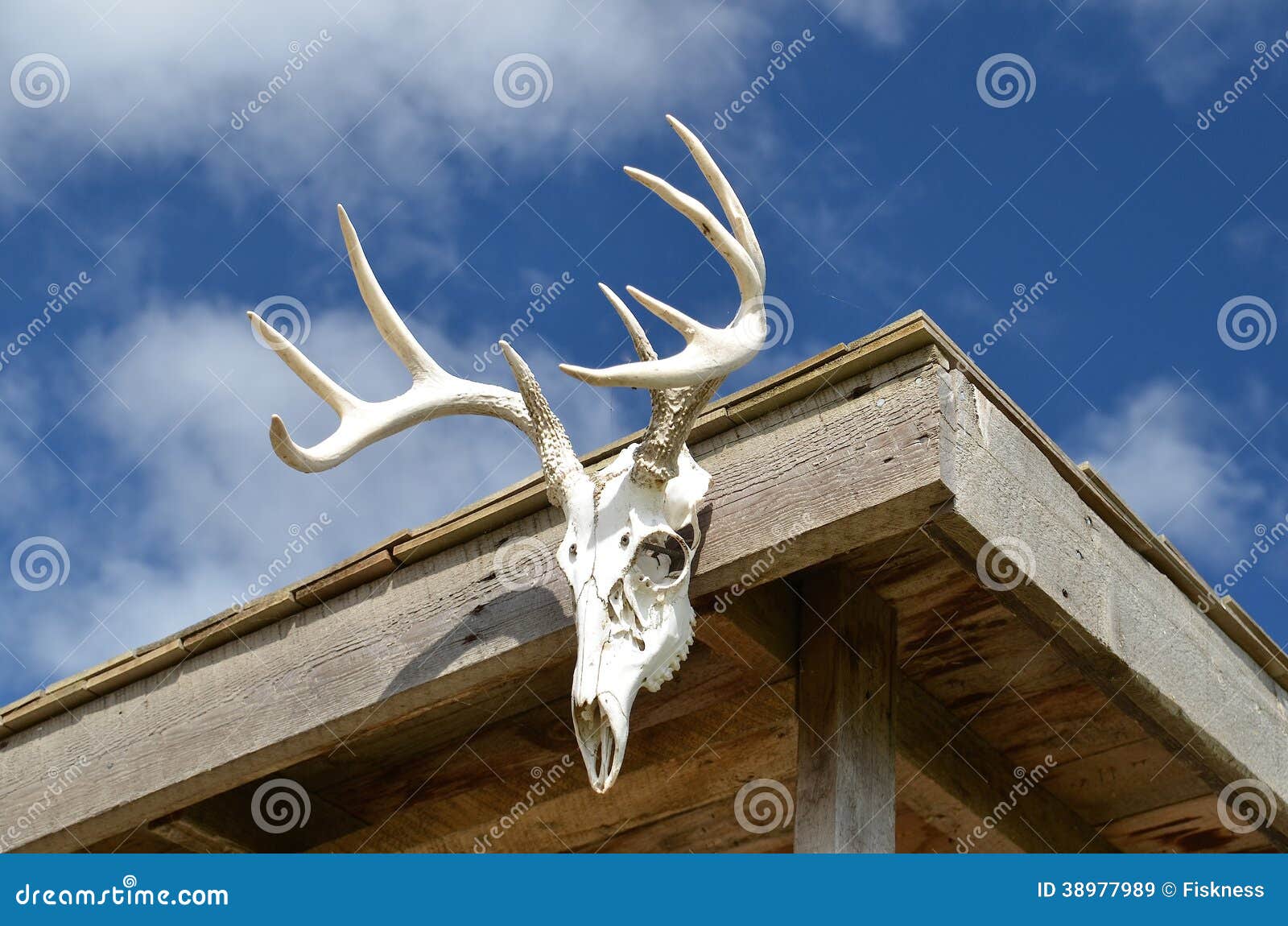 deer antlers on cabin