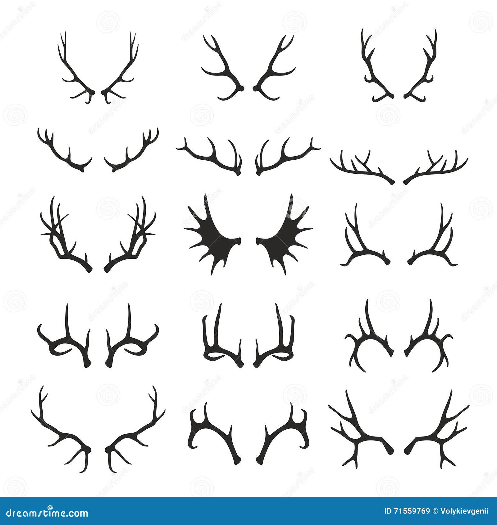 deer antlers set