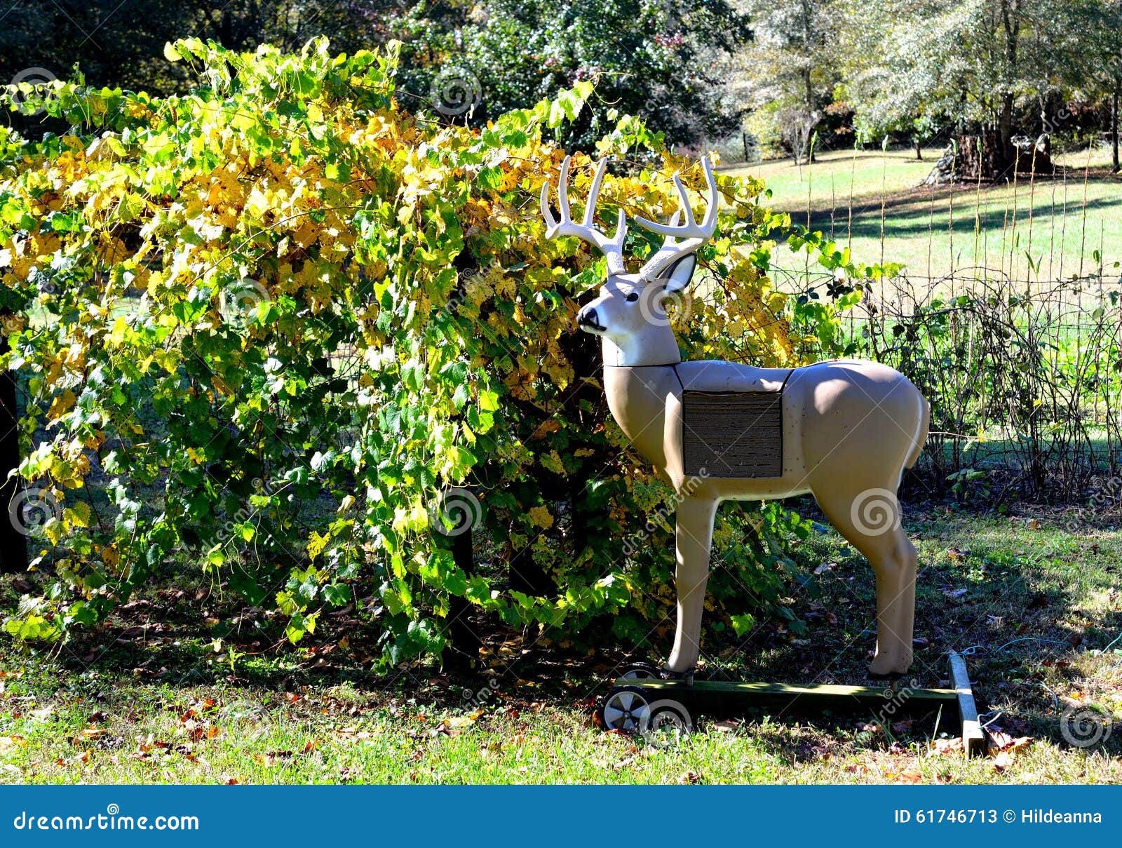 Deer archery target stock image. Image of equipment, tool 61746713