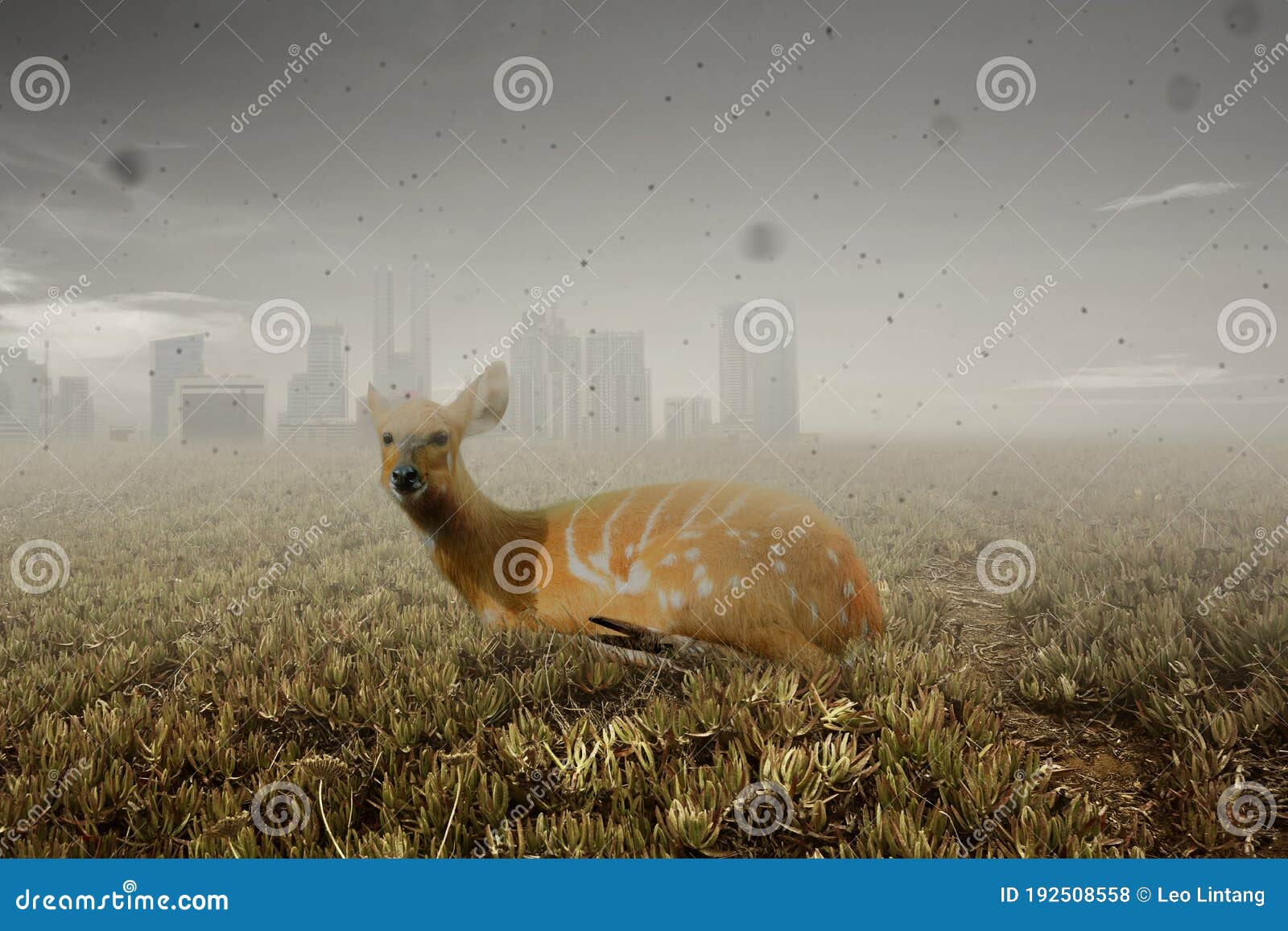 Deer on the Field with a Pollution Effect from City Development Stock