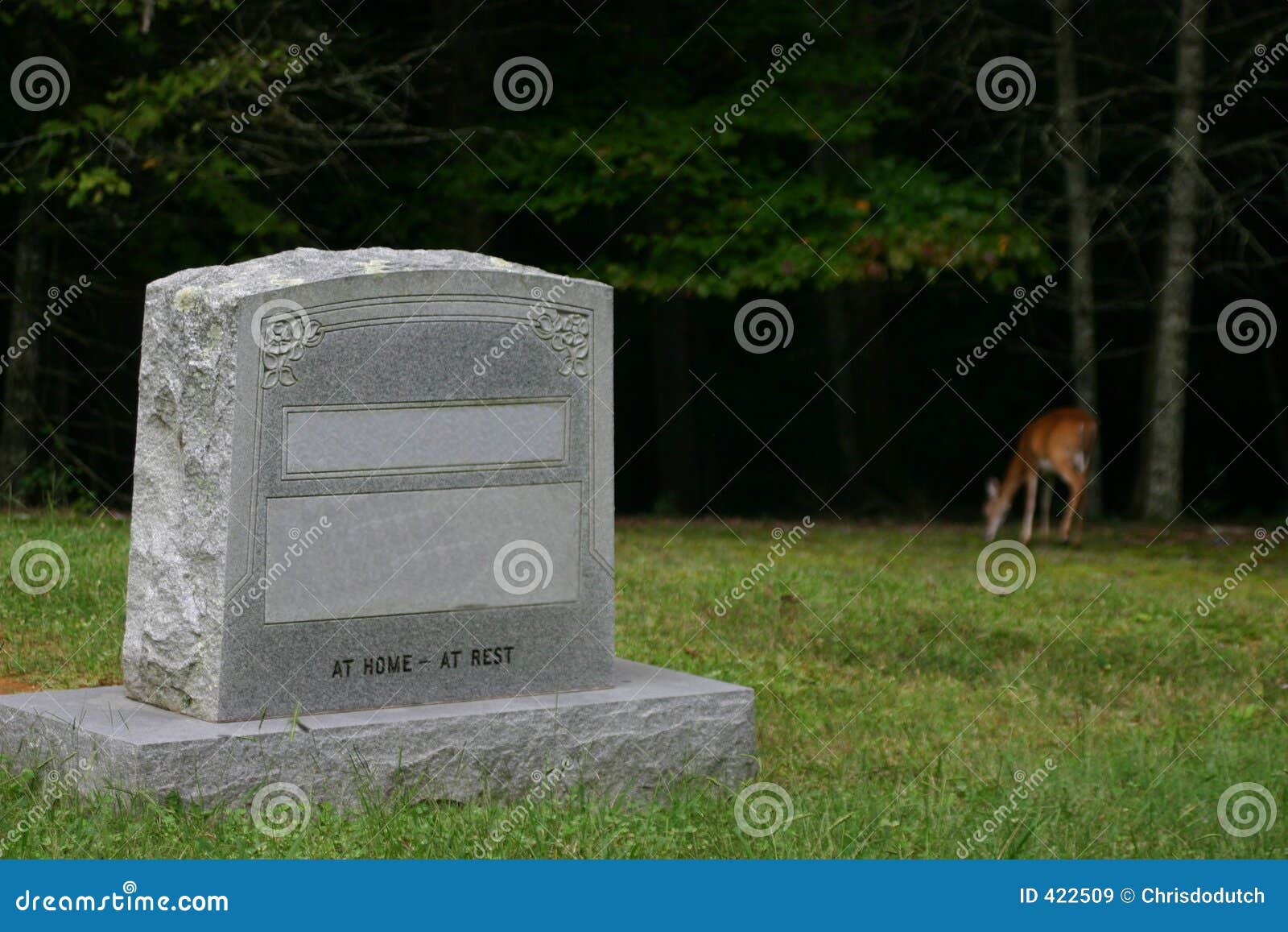 A deer at the grave stock image. Image of deer, marker 422509