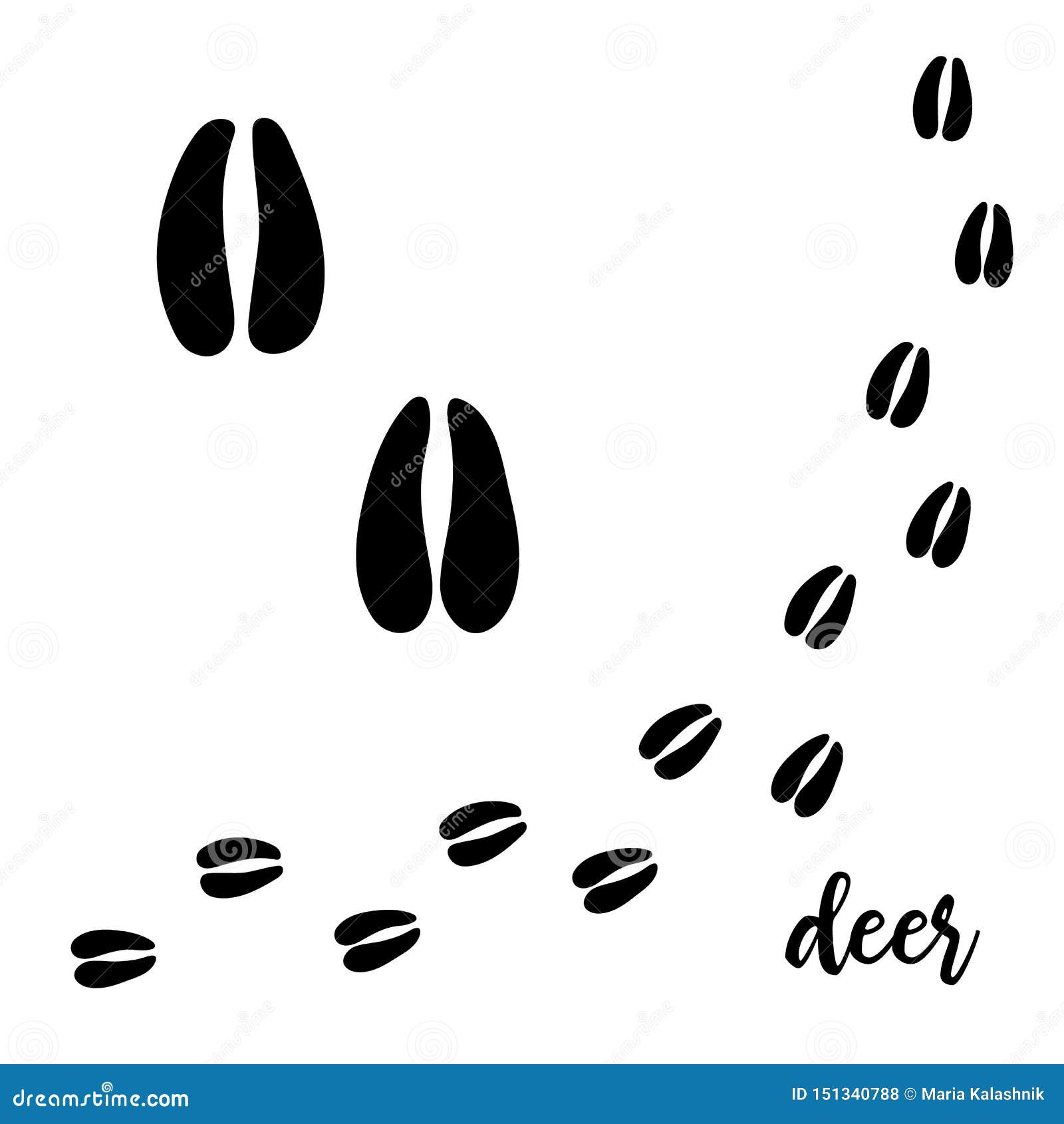 My Image 28