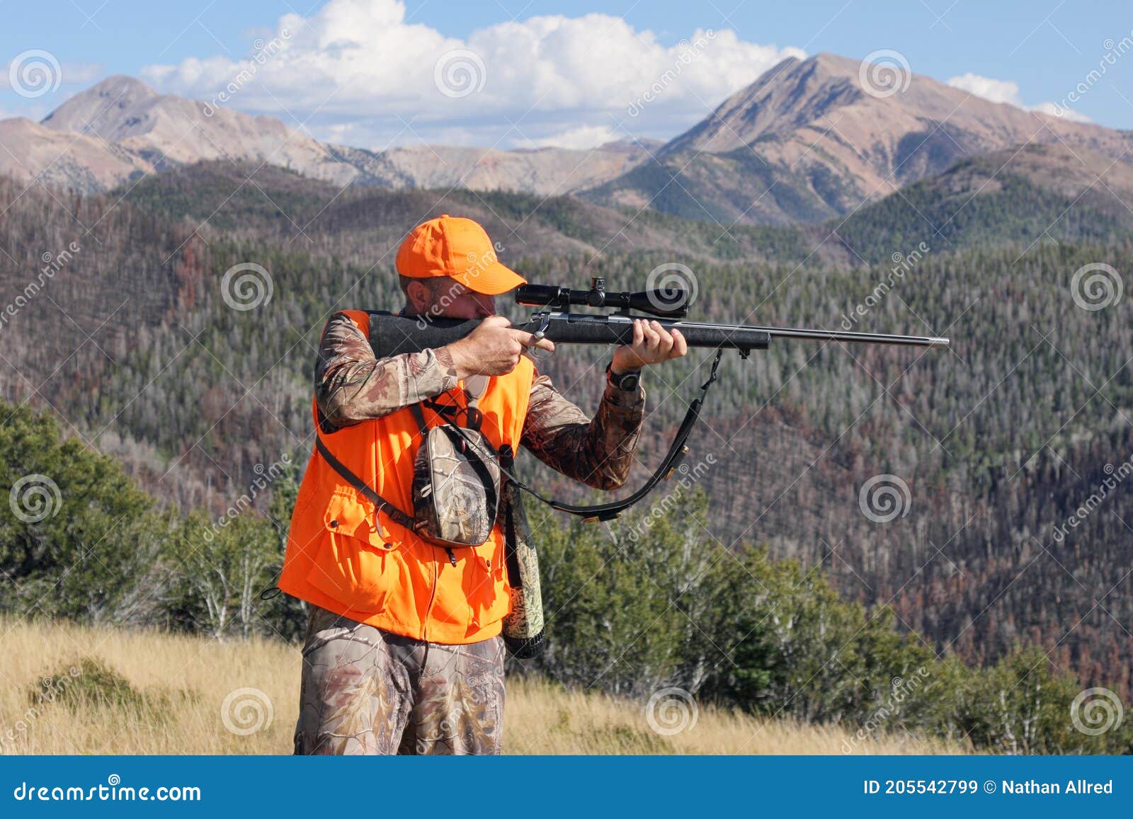 Deer Hunter Visant Le Fusil En Montagnes Escarpées Image stock - Image du  exactitude, saison: 205542799