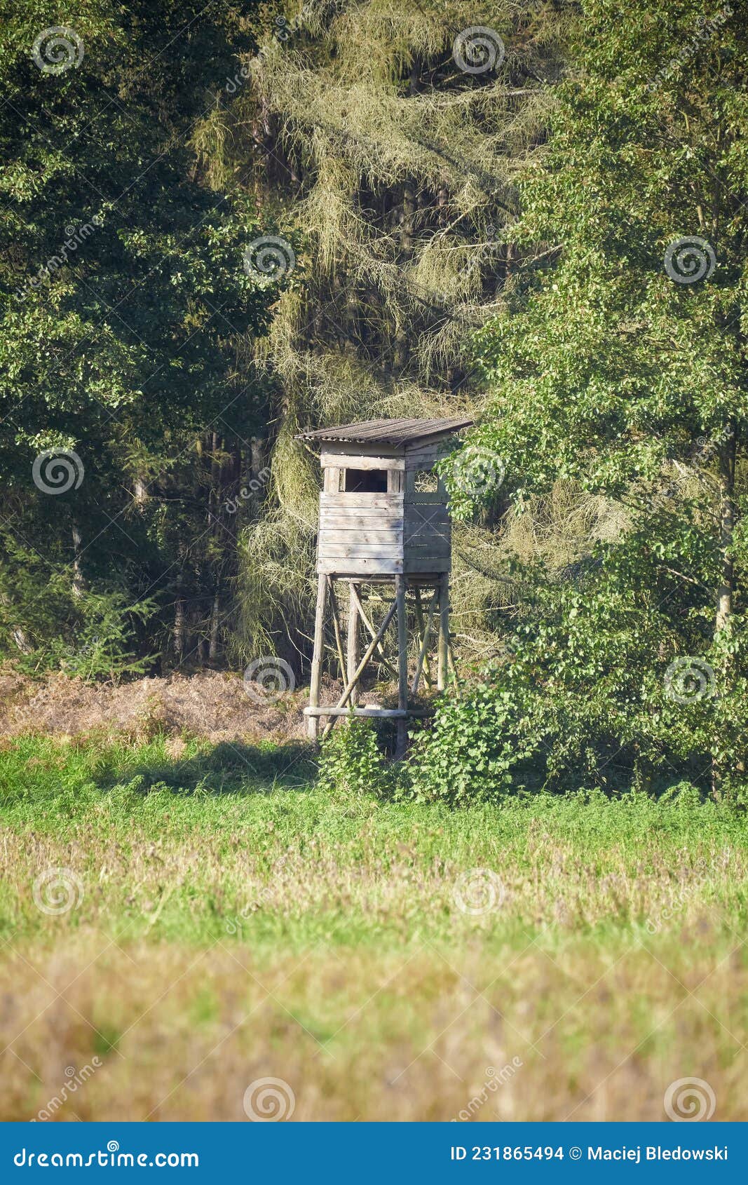 Deer Hunting Tower by a Forest, Selective Focus Stock Photo Image of