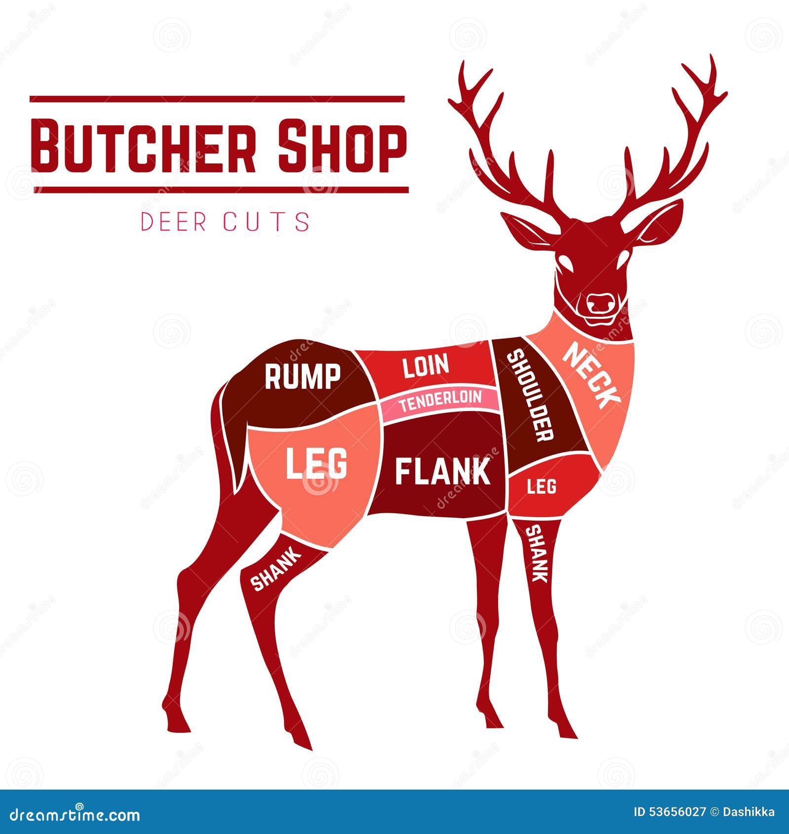 deer meat cuts in color