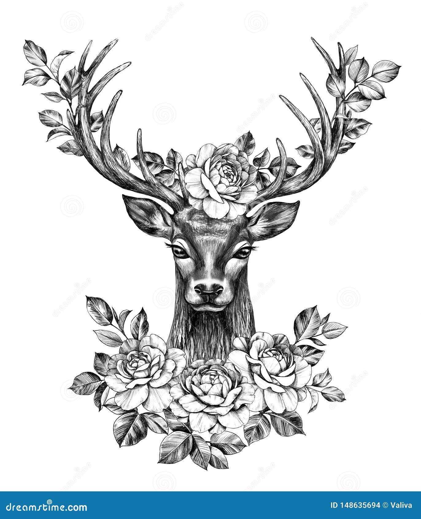 Deer with Rose Flowers Pencil Drawing Stock Illustration - Illustration ...