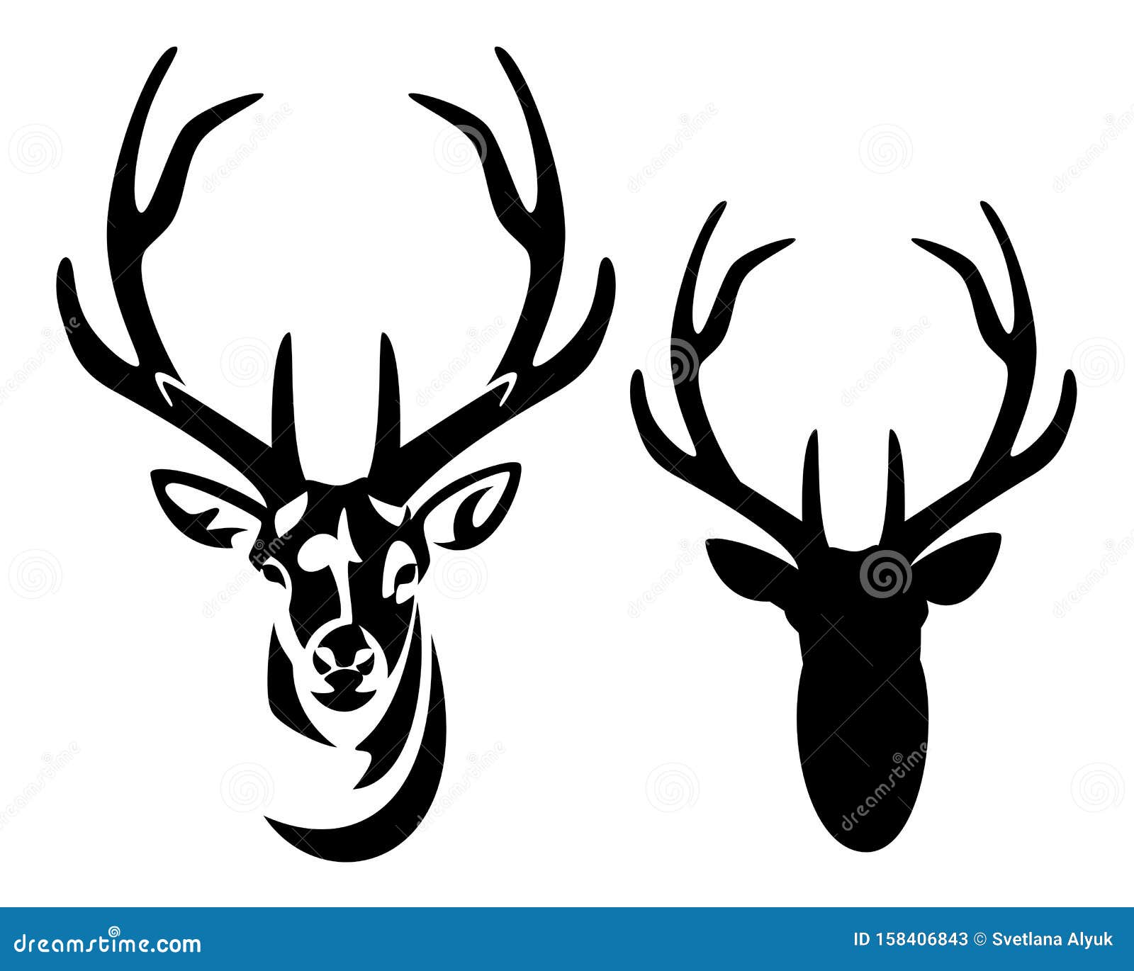 deer stag with big antlers black and white  portrait