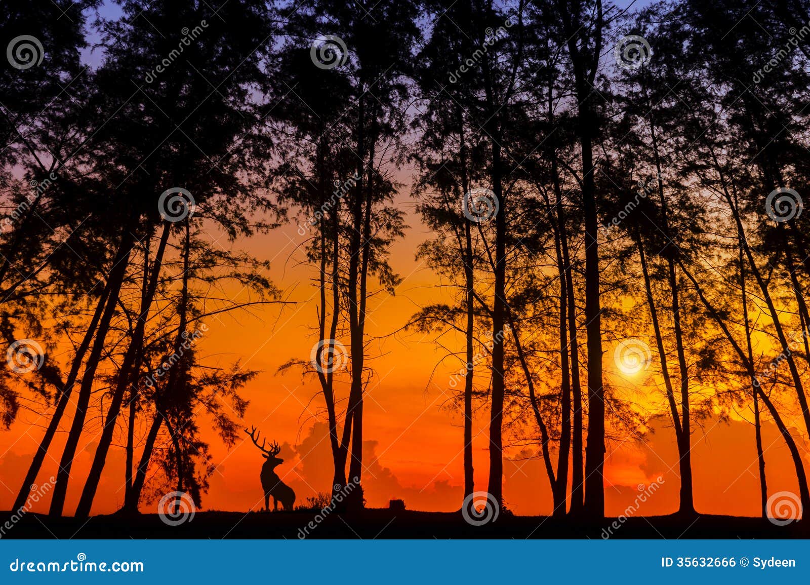 1,934 Deer Silhouette Grass Stock Photos - Free & Royalty-Free Stock Photos  from Dreamstime