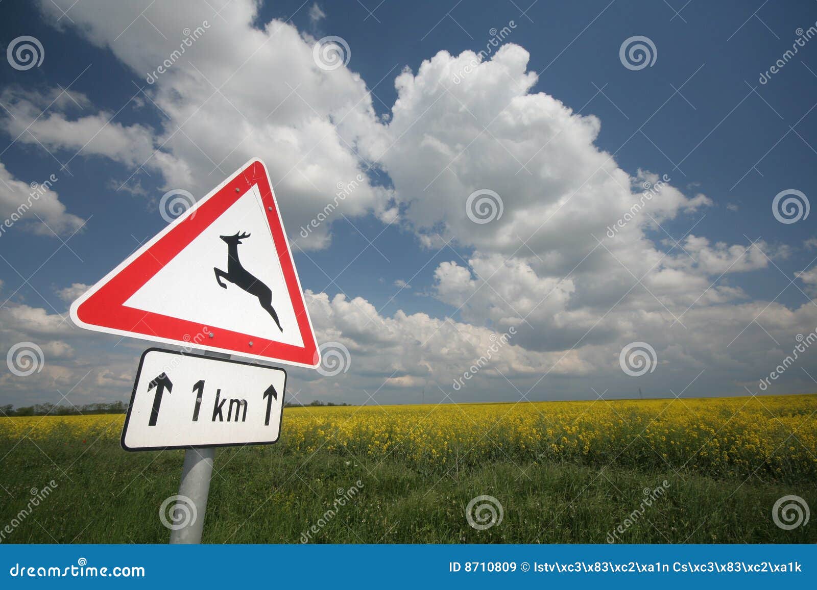 Deer warning sign stock image. Image of traffic, space 8710809