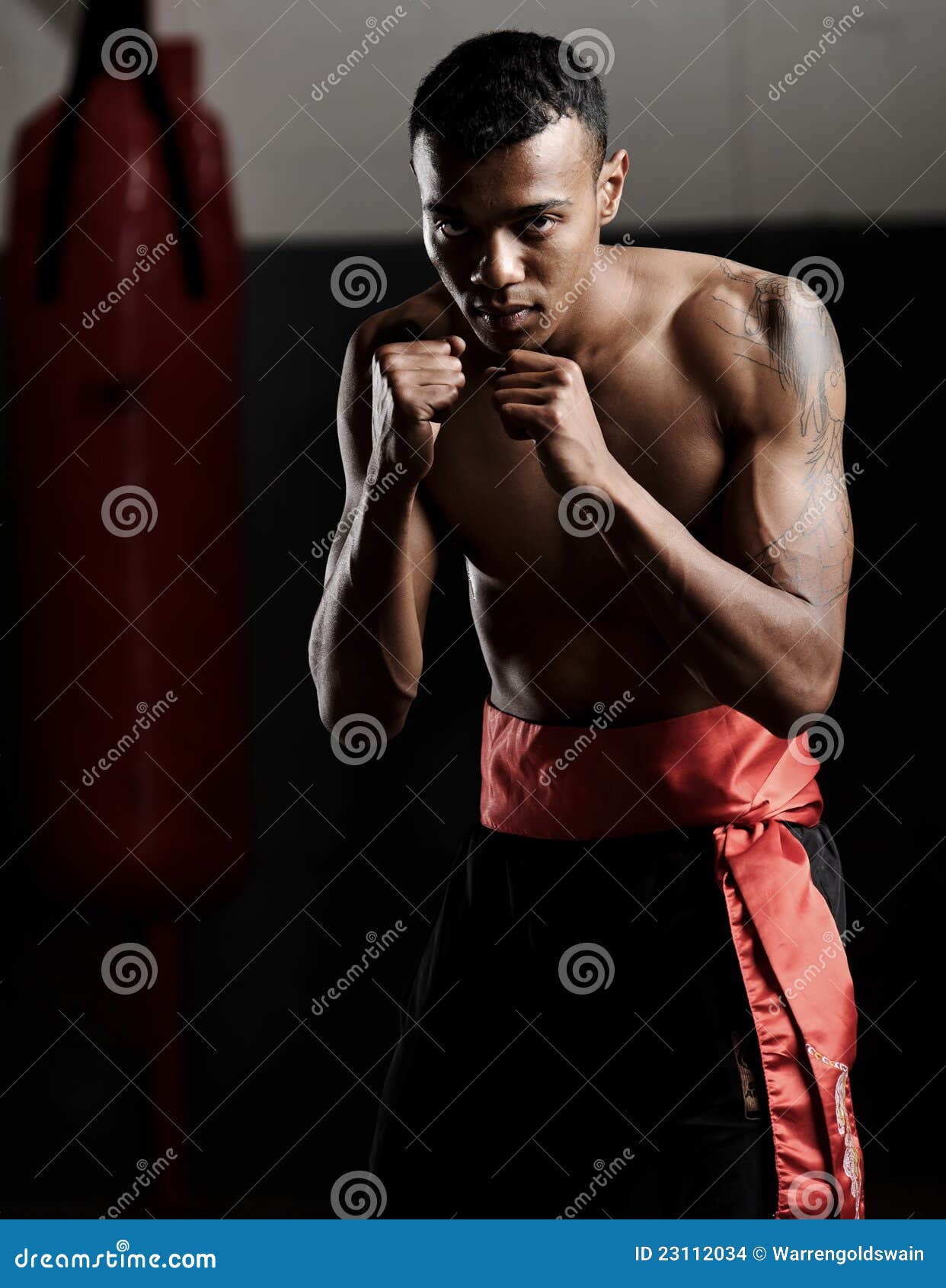 Defensive pose stock photo. Image of background, posture 23112034