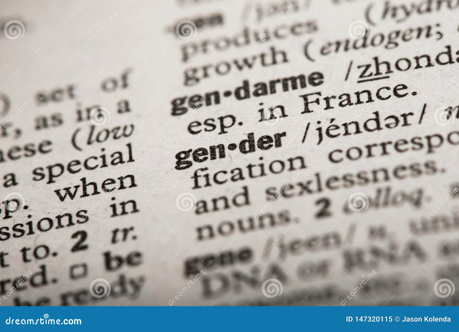 Gender in dictionary stock image. Image of word, english 147320115