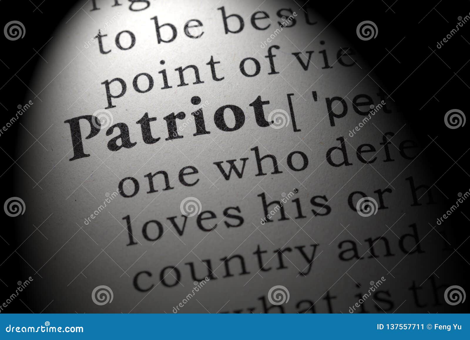 definition of patriot