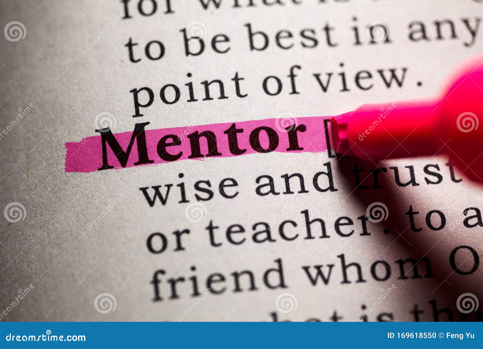 Definition of the Mentor Stock - of book, highlight: 169618550