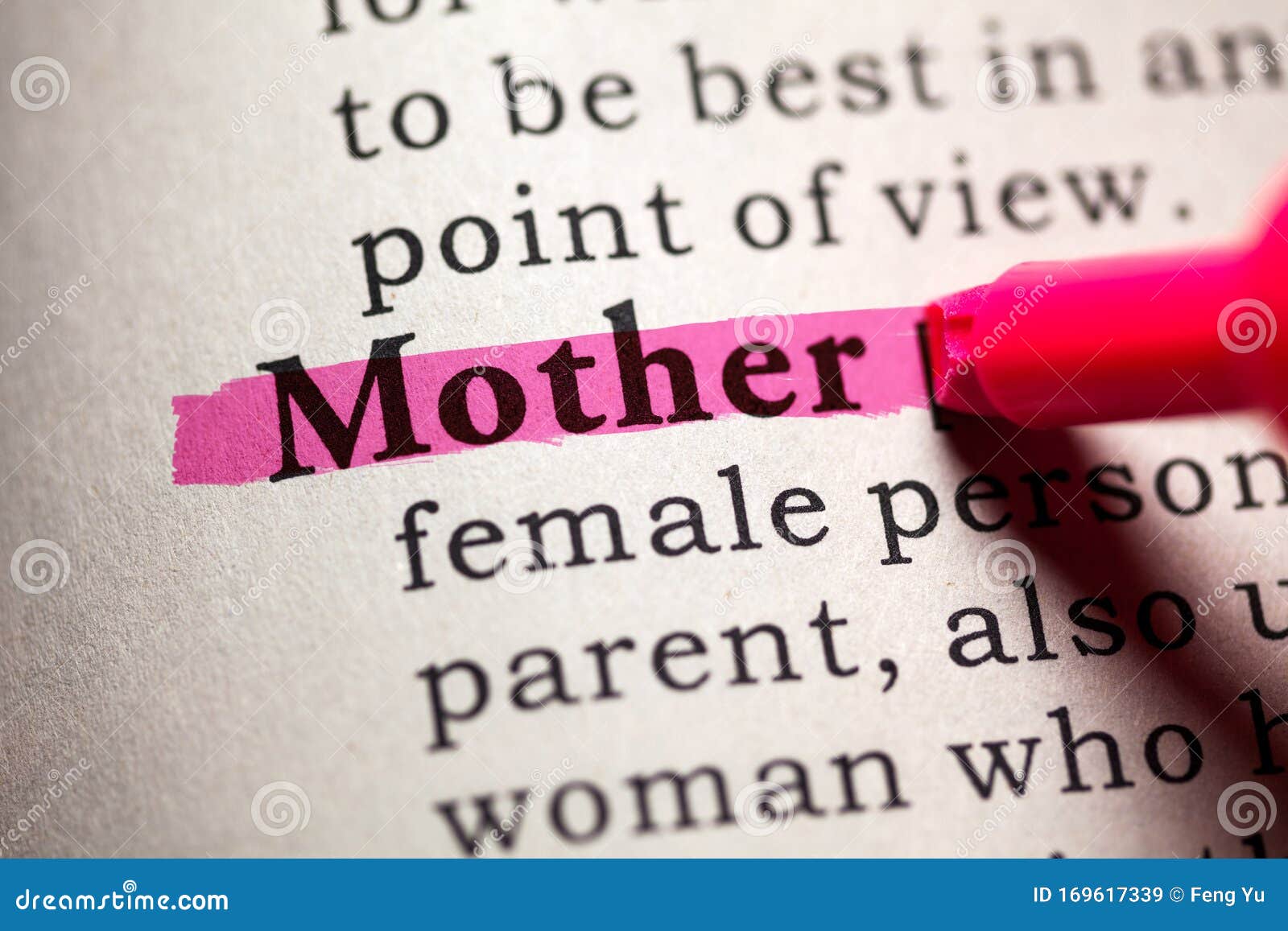 MOTHER DICTIONARY DEFINITION visual data 7