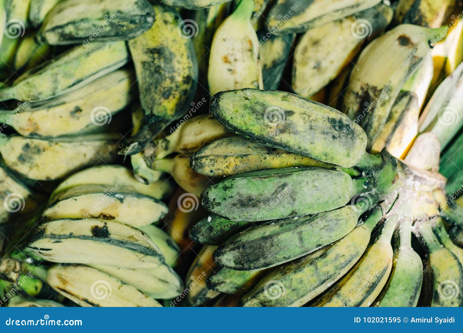 Defocus Shot Of Exotic Tropical Fruit Green Banana Display At Market