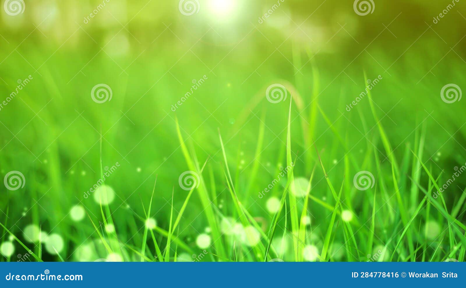 Defocused Fields Suitable for Background.for Use As Wallpaper and