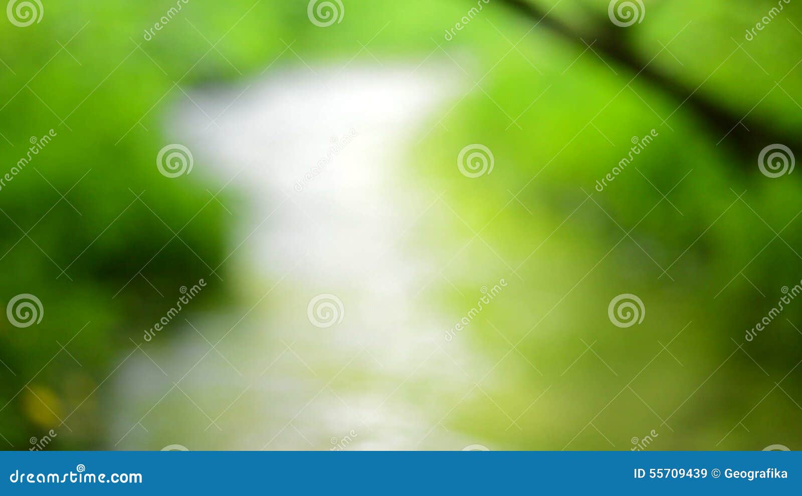 Defocused Nature Background Green Blurred Lights Stock Video