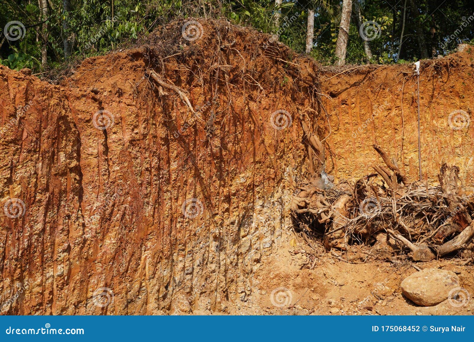 Red And Yellow Soil