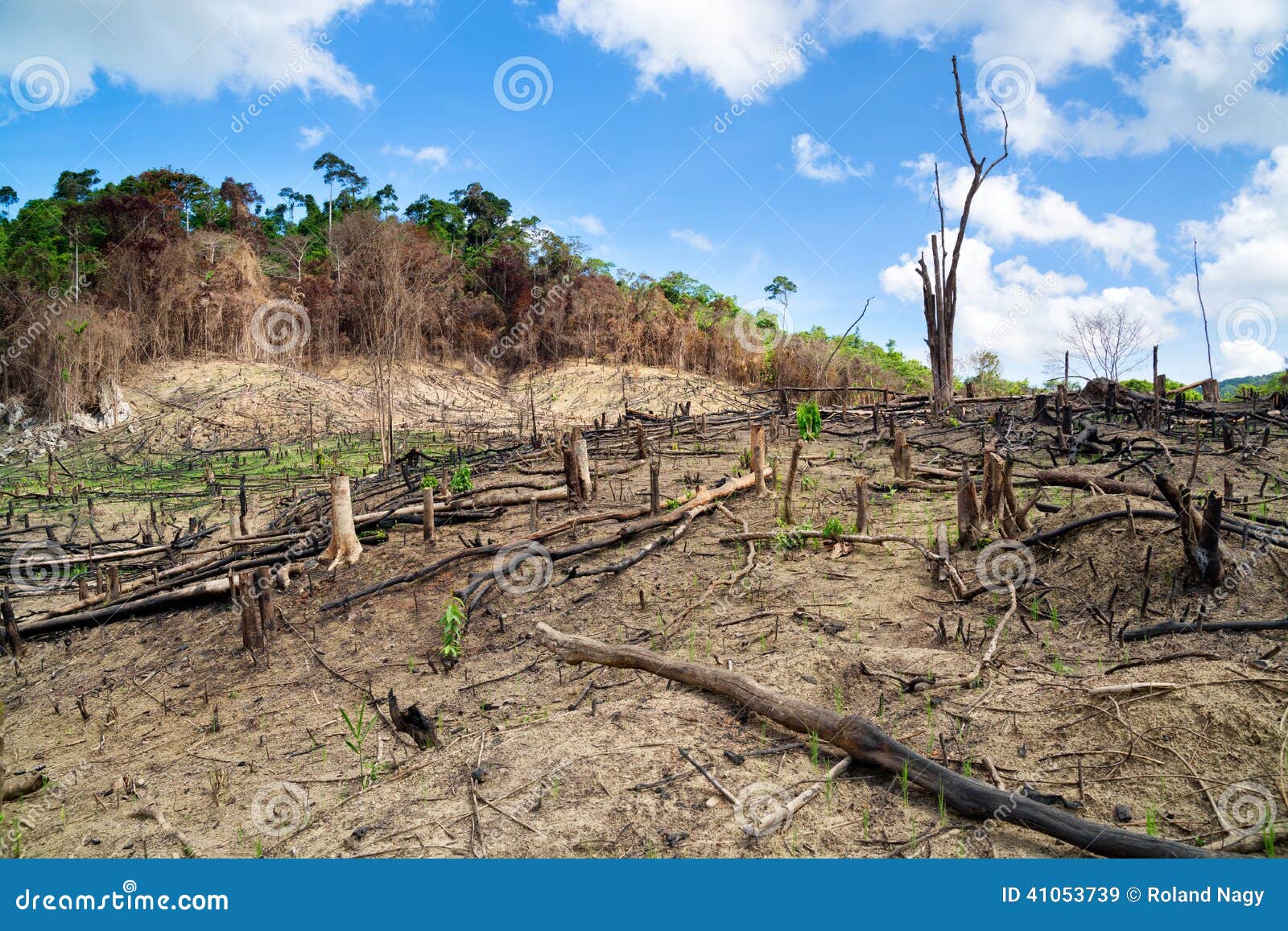 Deforestation In The Philippines Royalty Free Stock Photography deforestation-in-the-philippines-royalty-free-stock-photography