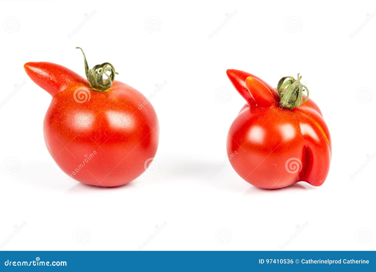 deformed red tomatoes on a white background