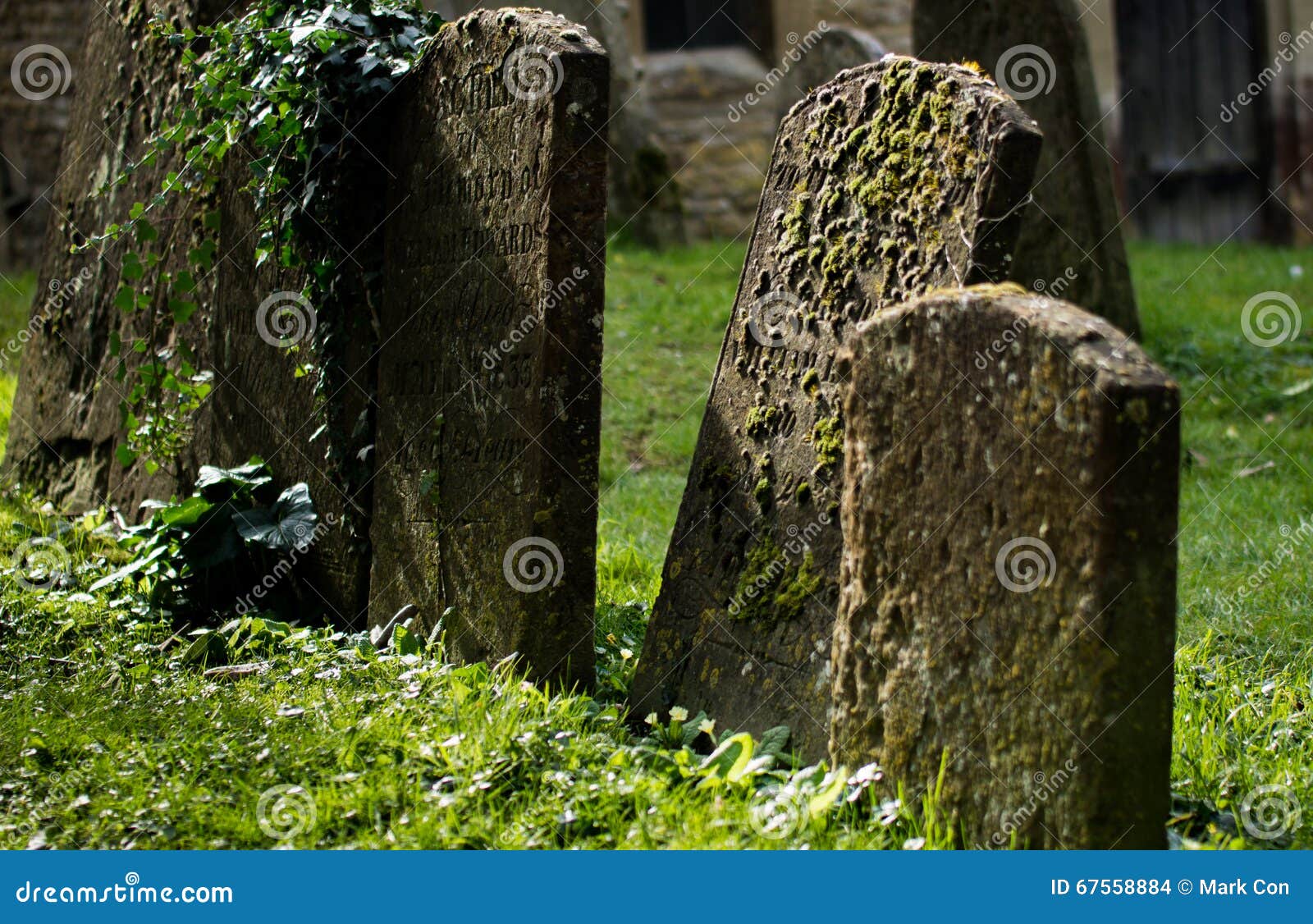 Defused image of Headstones in a graveyard. Headstones with moss and sunlight with a defused background.