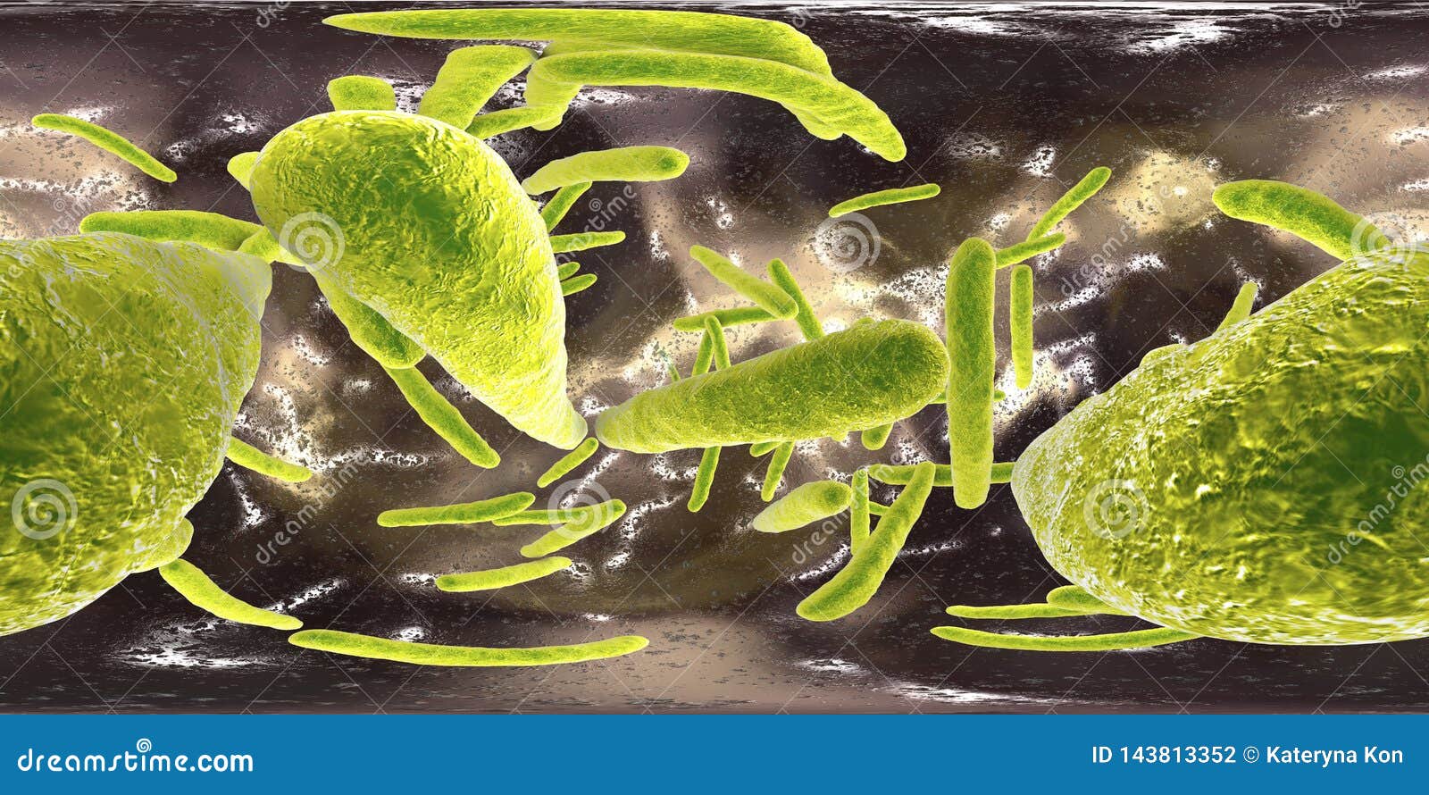 360-degree spherical panorama of bacteria mycobacterium tuberculosis