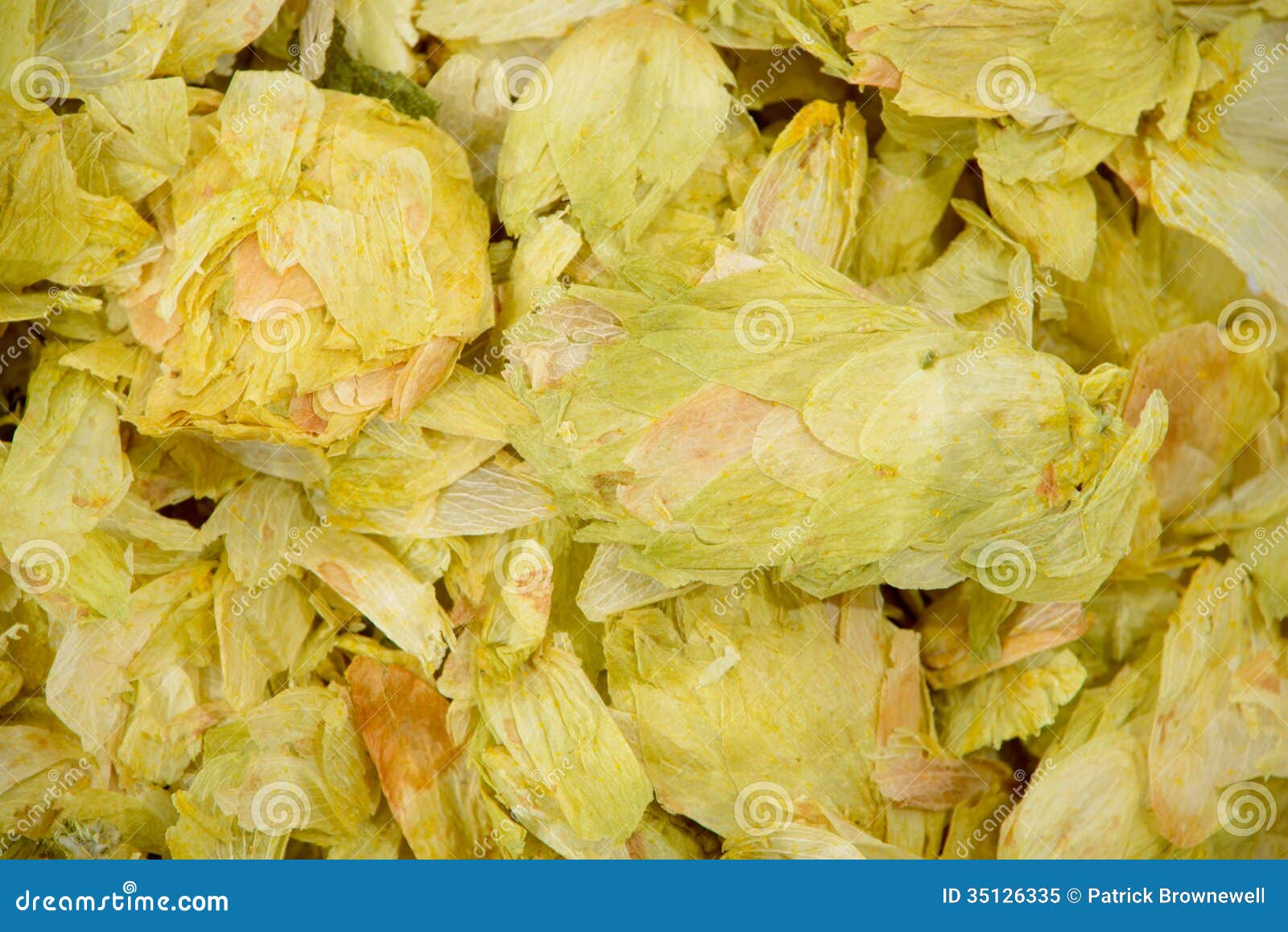 dehydrated hops