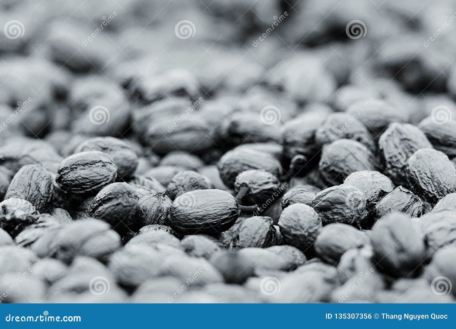 natural dehydrate fermented coffee beans