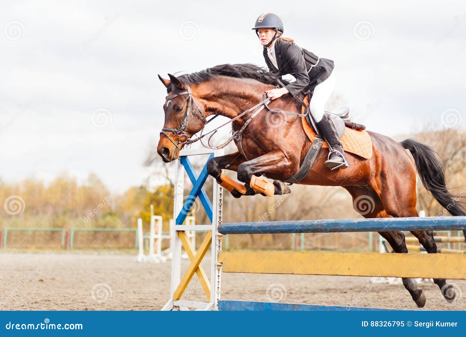 Dei Giovani Sportsgirl a Cavallo Che Salta Sul Salto Di Manifestazione  Immagine Stock - Immagine di persona, ostacolo: 88326795