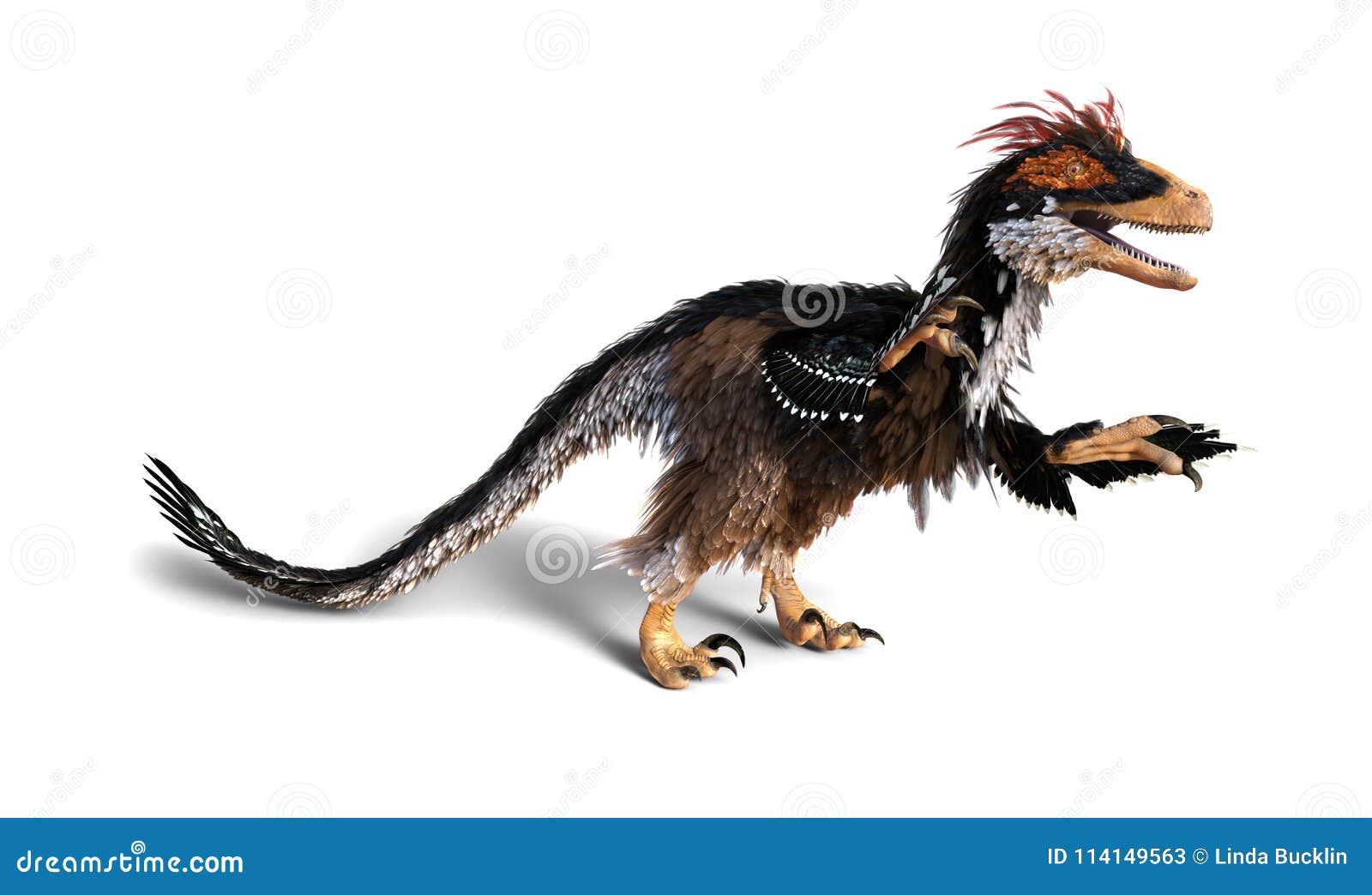 Deinonychus Stock Photo - Download Image Now - Deinonychus, Dinosaur,  Feather - iStock