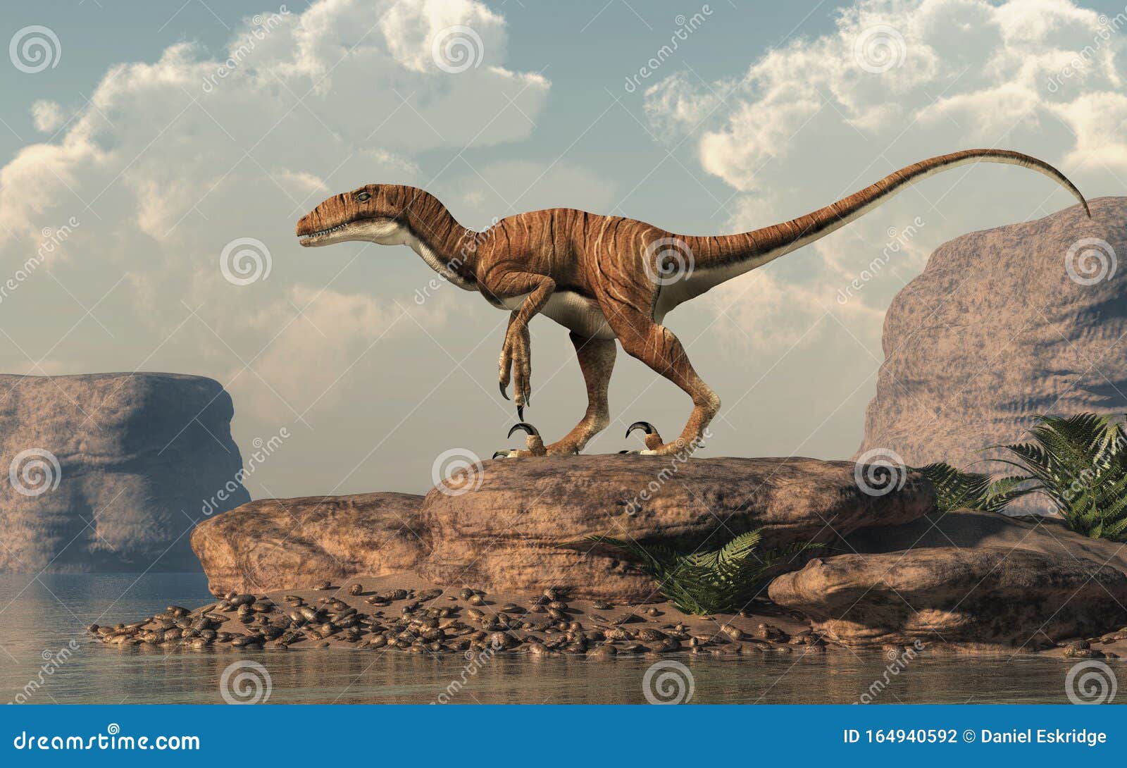 1) Deinonychus 2) Pterodactyl 3) Archaeopteryx 4) Parasaurolophus 5)  Pachycephalosaurus