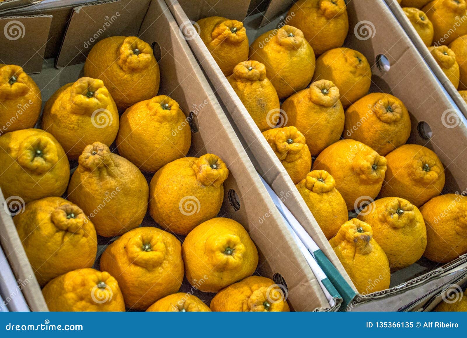 dekopon & x28;reticulata dekopon& x29; is a hybrid fruit