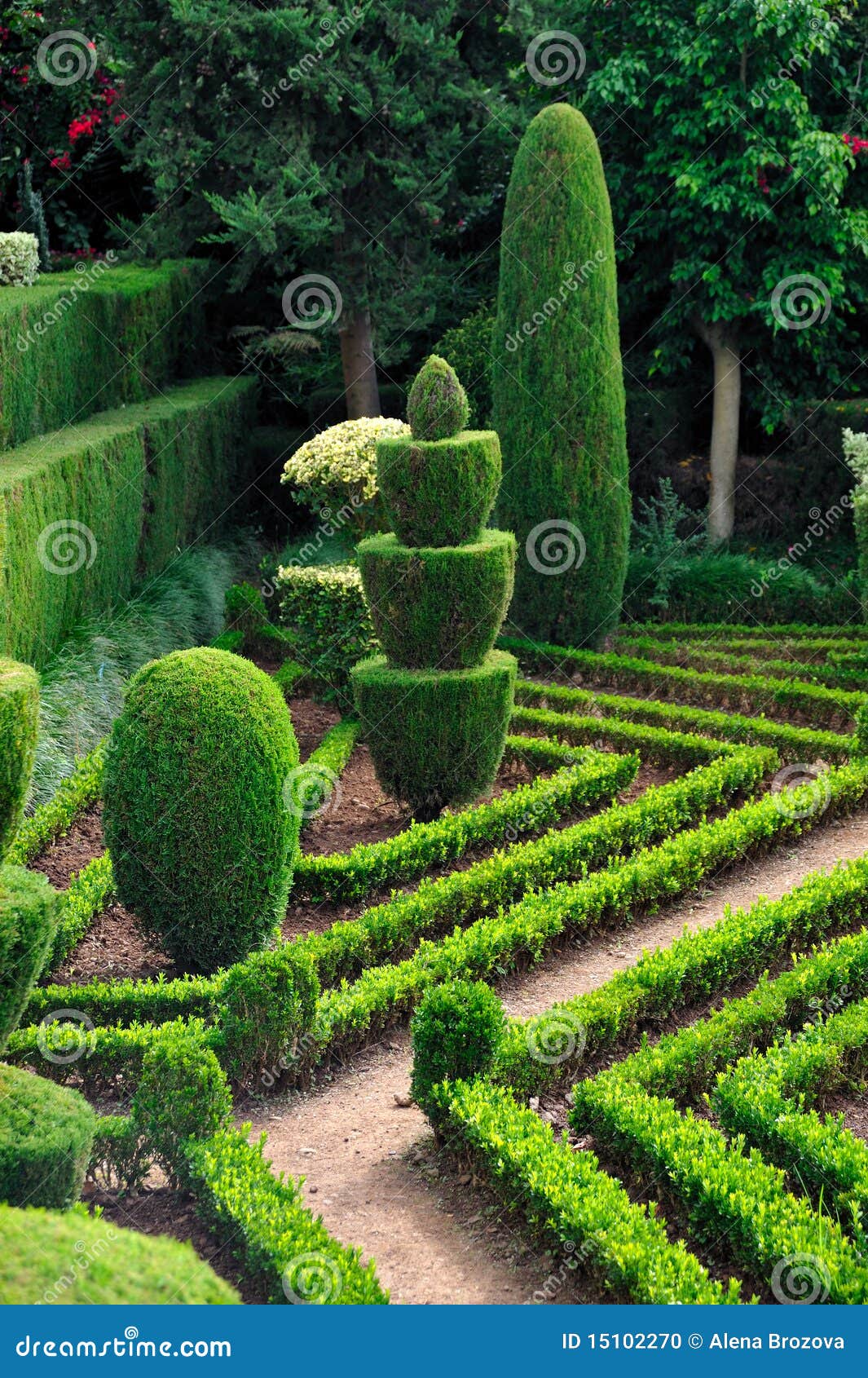 Dekorativer grüner Park - botanischer Garten Funchal, Madeira - Jardim botanico