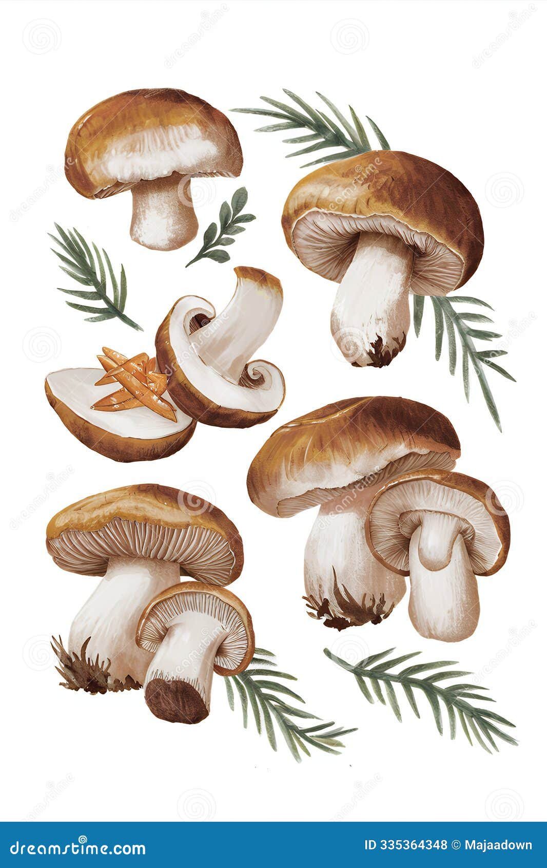 delectable forest mushrooms with lush greenery