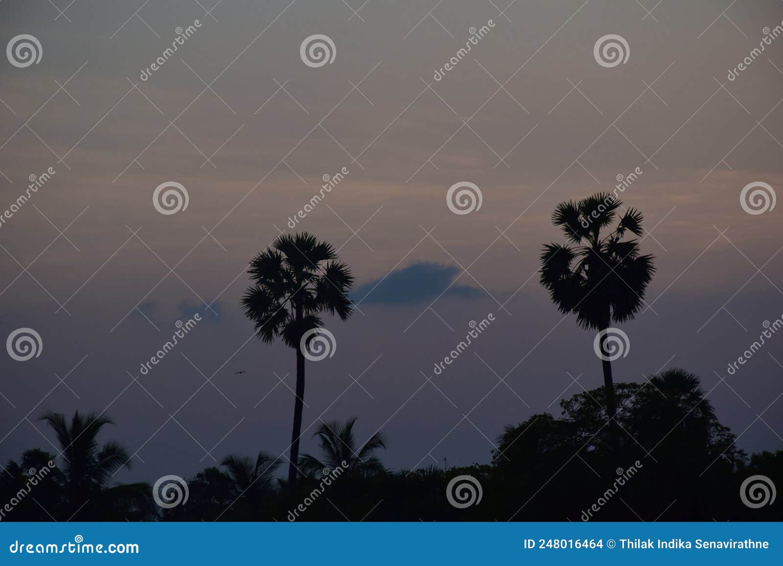 delft island overlooking the sunset