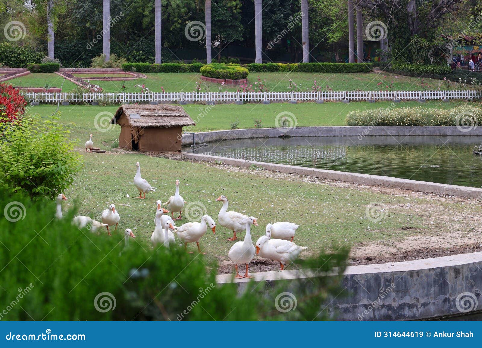 delhi zoological park, india - 13 april 2024, random bird photography