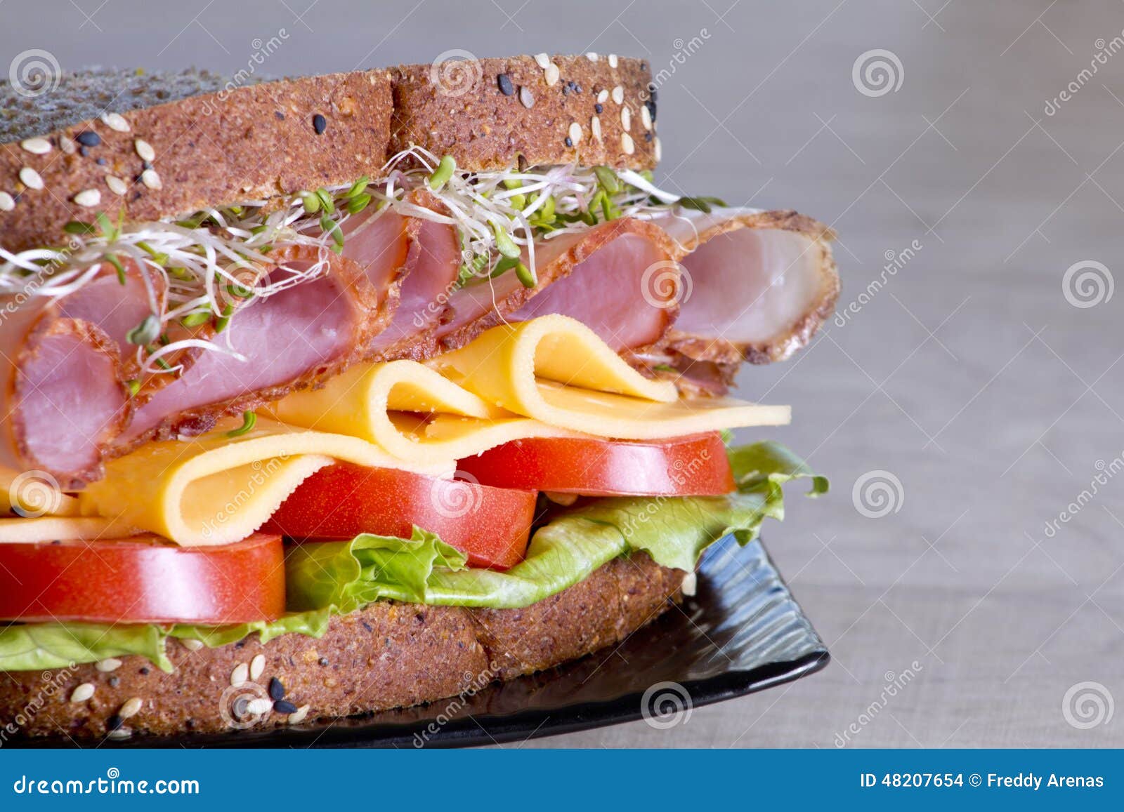 Deli Meat Sandwich with Turkey Stock Photo Image of sandwich, people