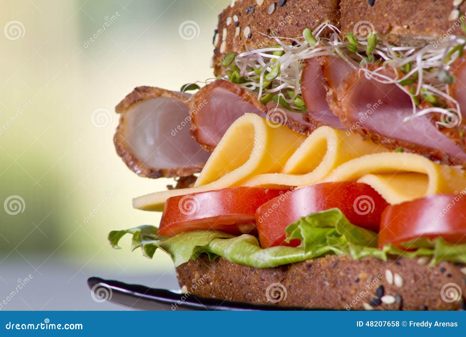 Deli Meat Sandwich with Turkey Stock Photo Image of focus, life 48207658