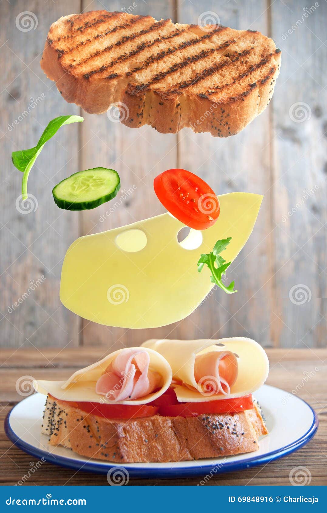 Deli sandwich stock photo. Image of gourmet, lettuce 69848916