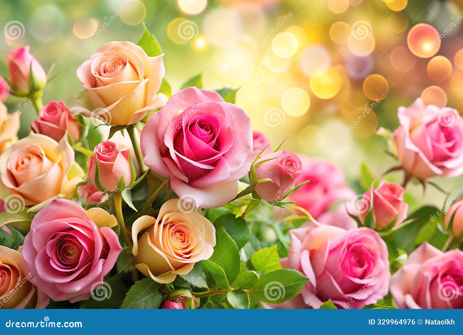 a delicate backdrop of exquisite roses.